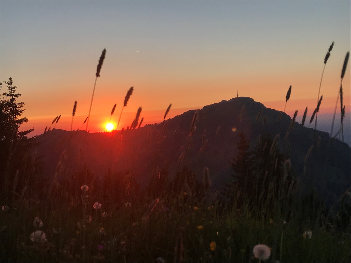 Wandernacht Rigi Scheidegg