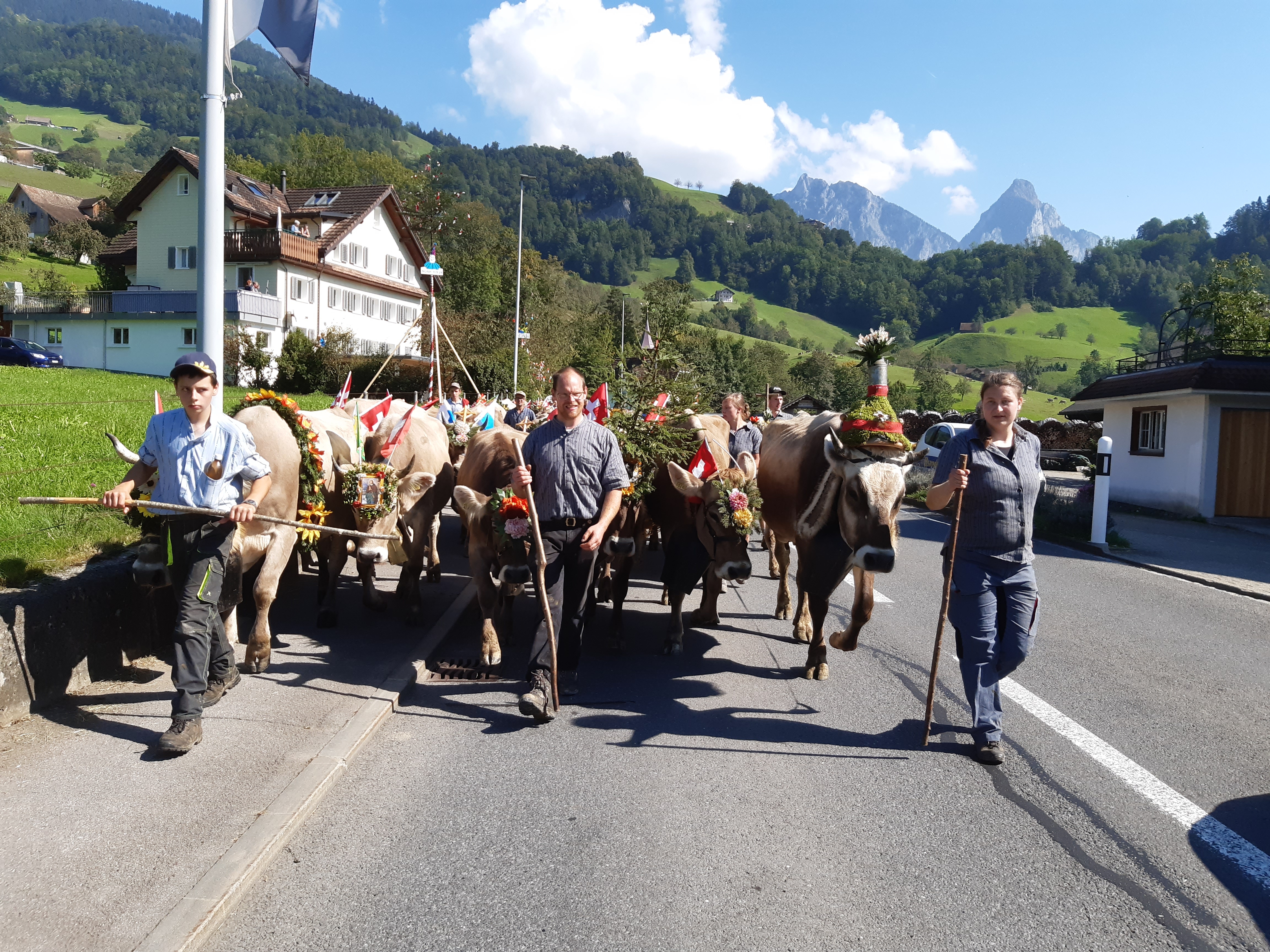 ALPABFAHRT ALP CHRUTEREN -  STEINERBERG