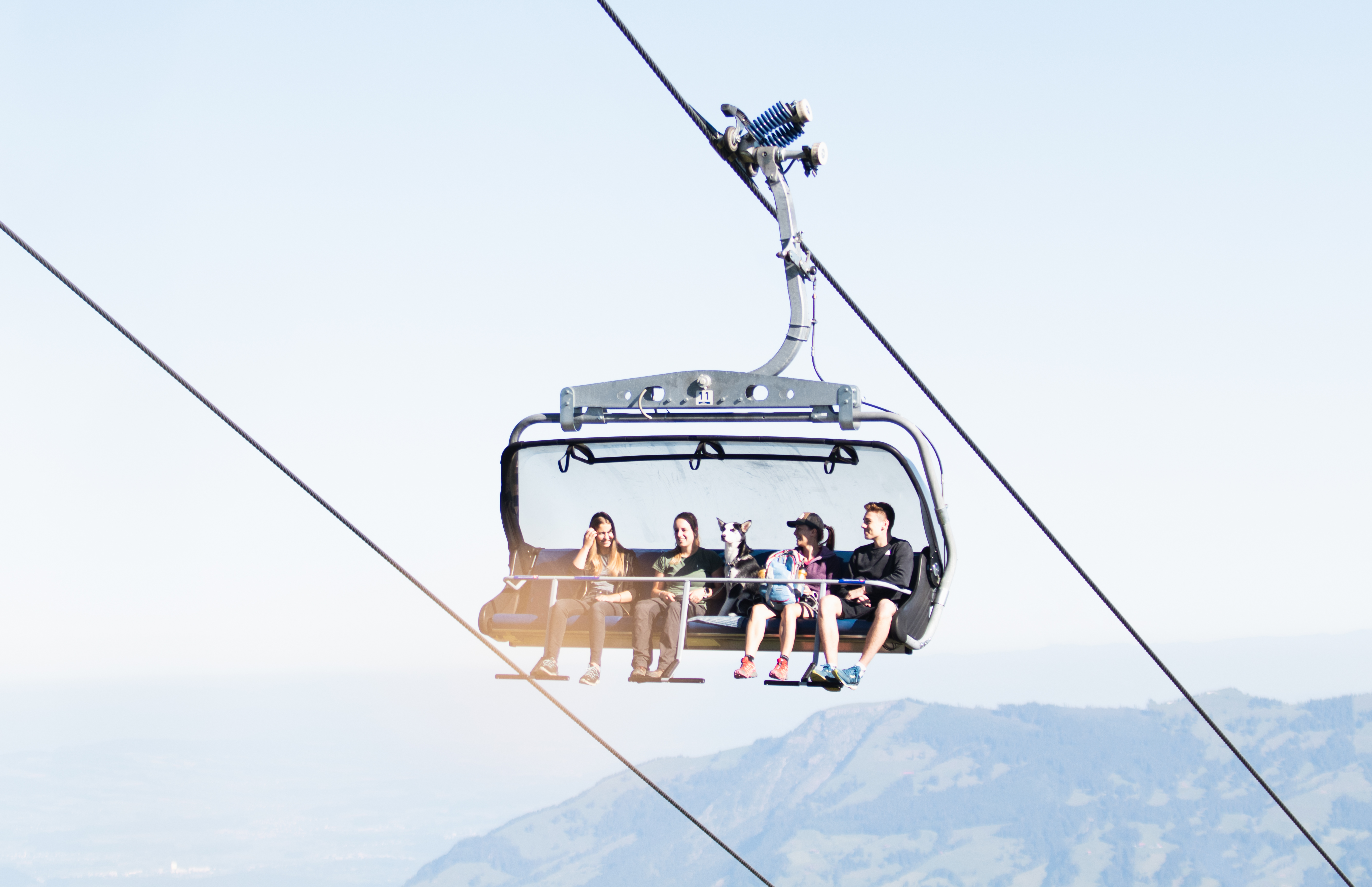 mys-Day ticket for dogs-Hund auf Sessel Klingenstock