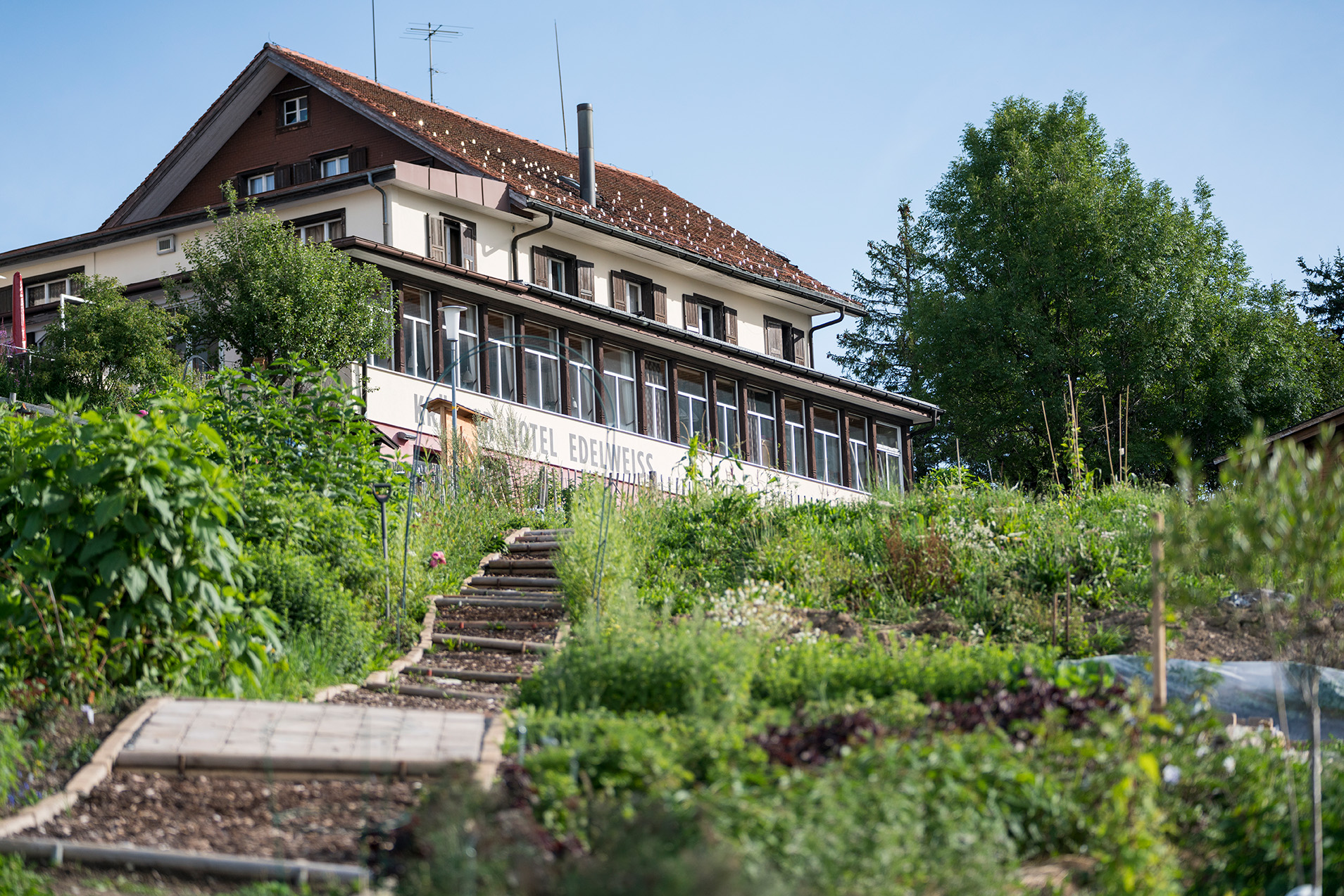 Kräuterhotel Edelweiss - Kräuterhotel Edelweiss