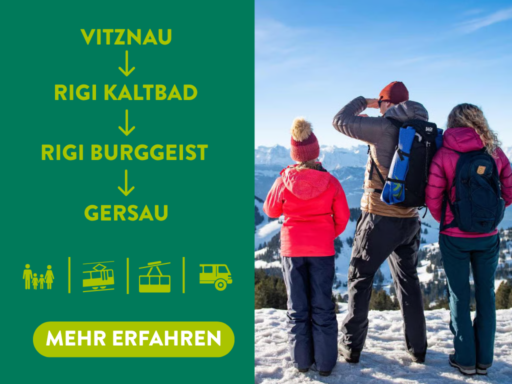 Rundreise Südseitensafari