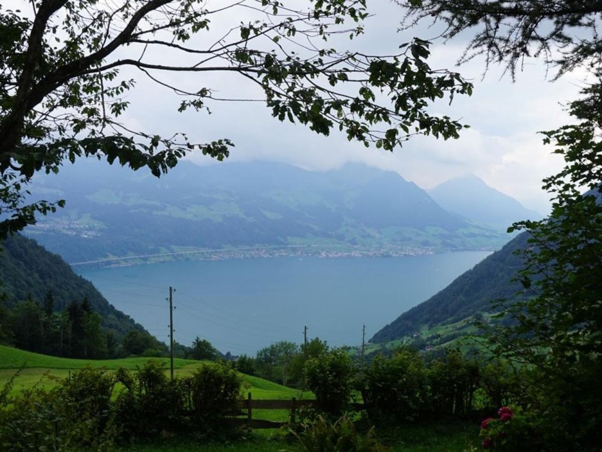 Ferienhaus Käppeliberg - Aussicht Sommer