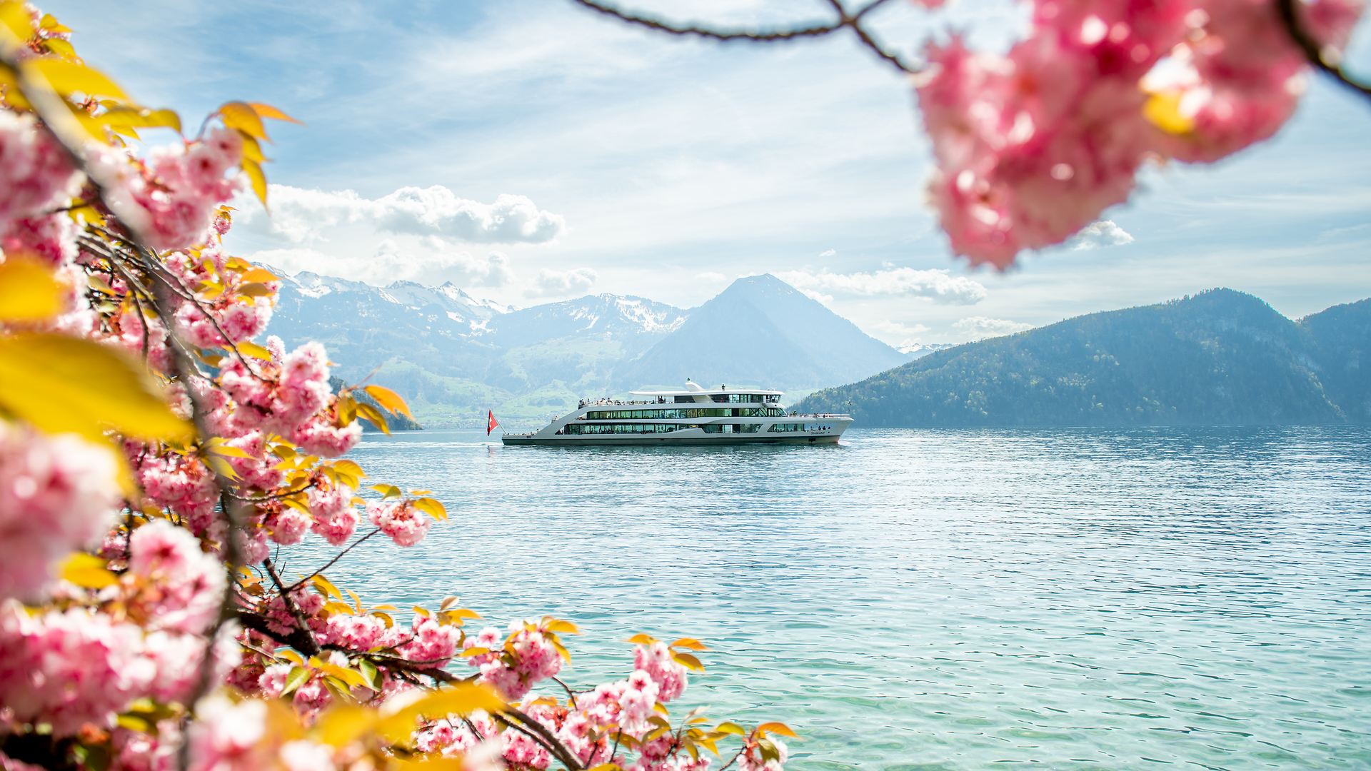 Paysage printanier sur le lac des Quatre-Cantons, cadre du brunch gourmand de Pâques.