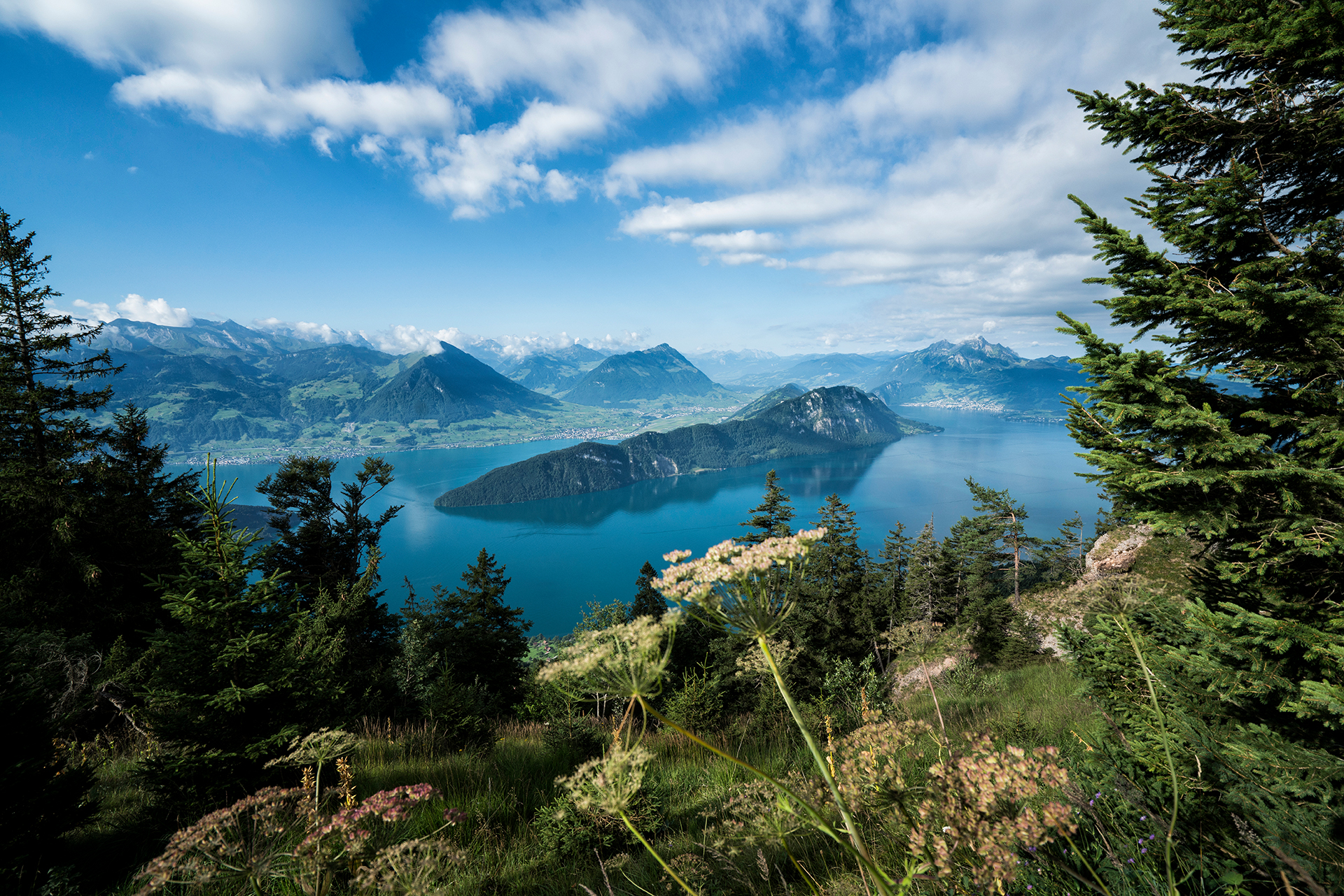 Aussicht von der Rigi auf den Vierwaldstättersee