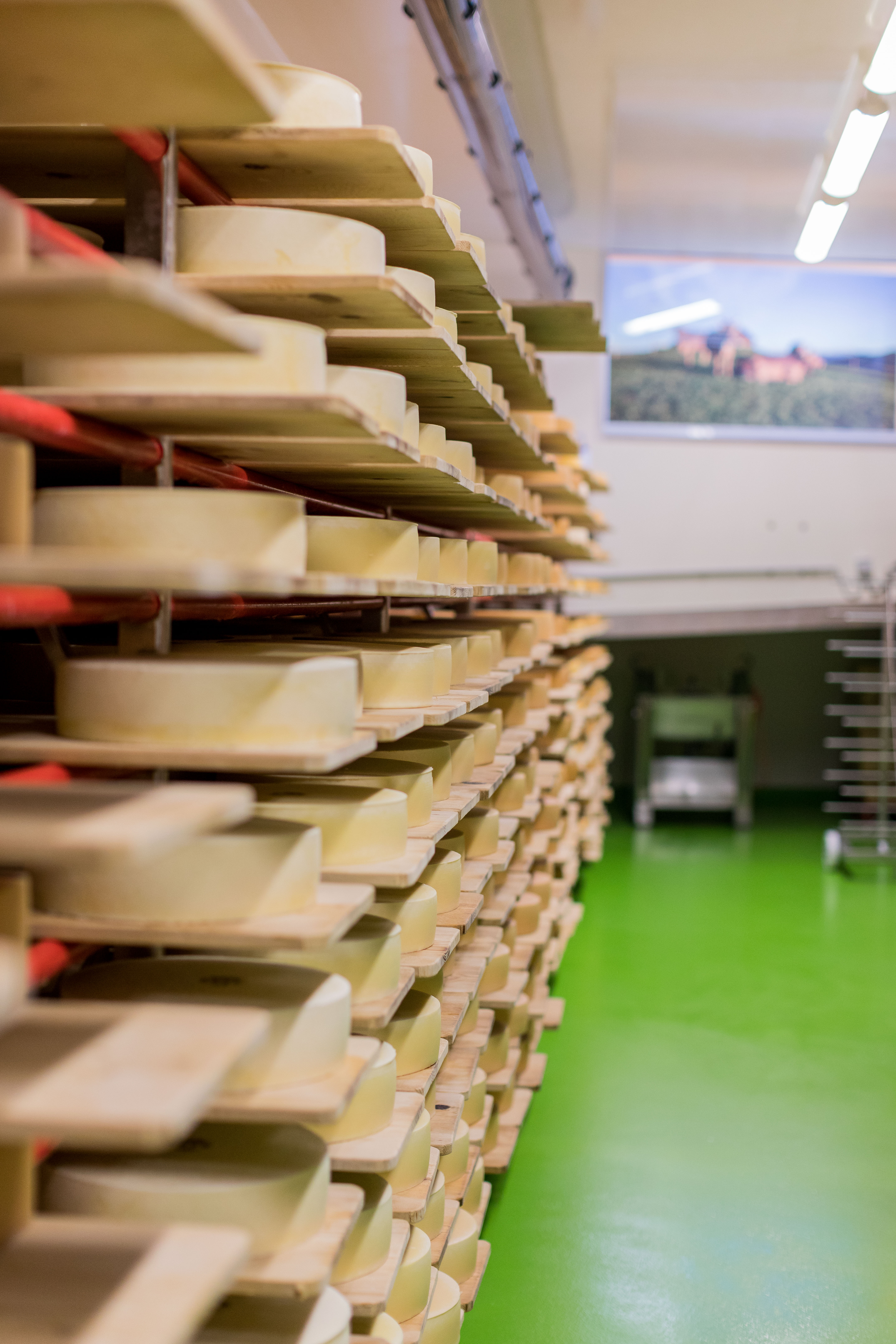 Käsekeller Milchmanufaktur Einsiedeln AG