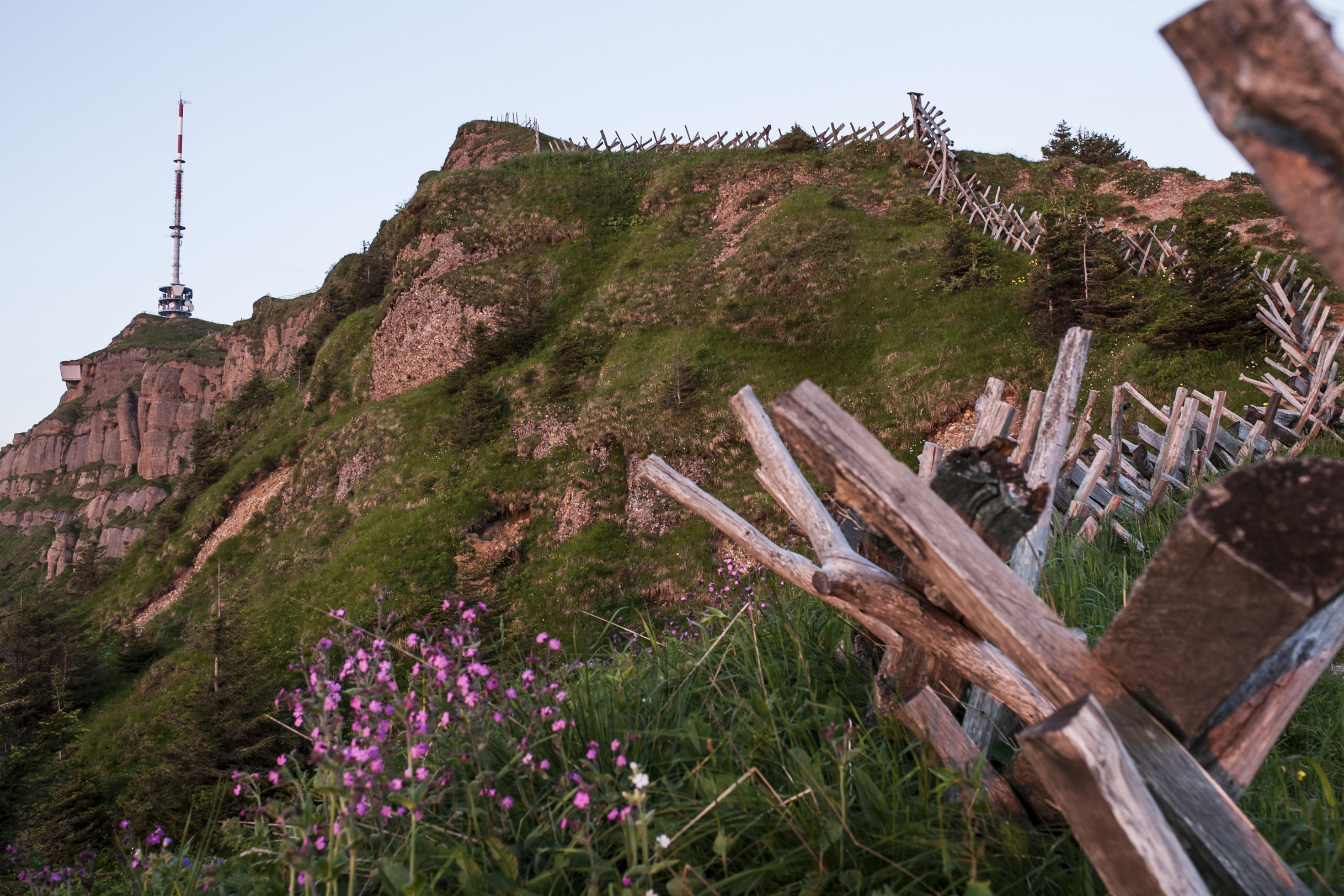 Rigi Ganzjahr Aussicht Rigi mit Zäune