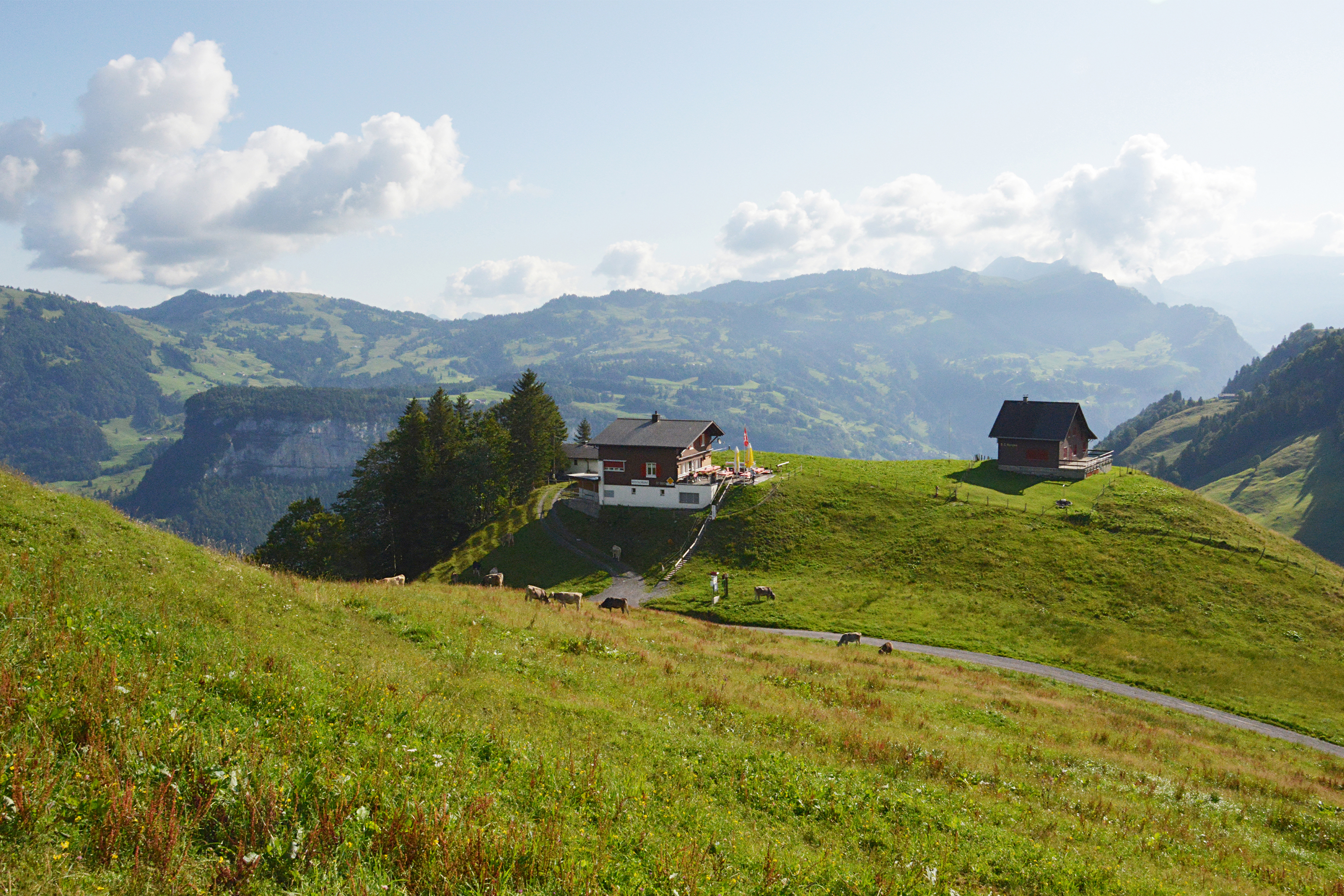 Alpgebäude auf einer grünen Bergwiese mit Blick auf die umliegenden Berge.