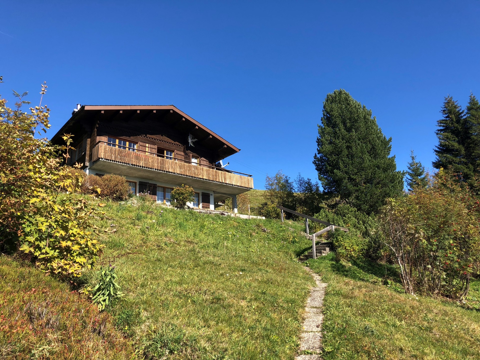 Chalet Lupino - Aussenansicht