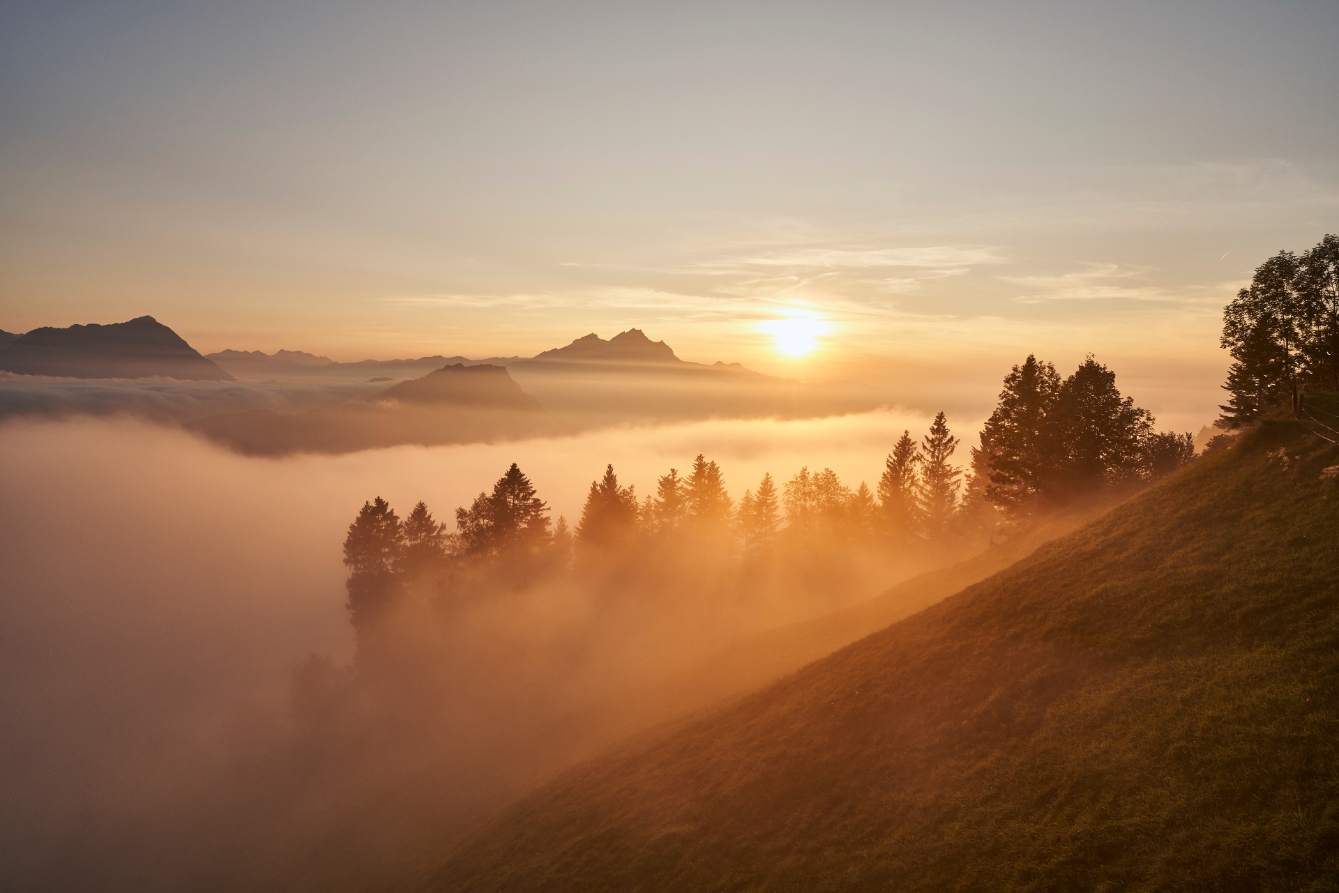 Rigi Herbst Aussicht Sonne im Nebelmeer