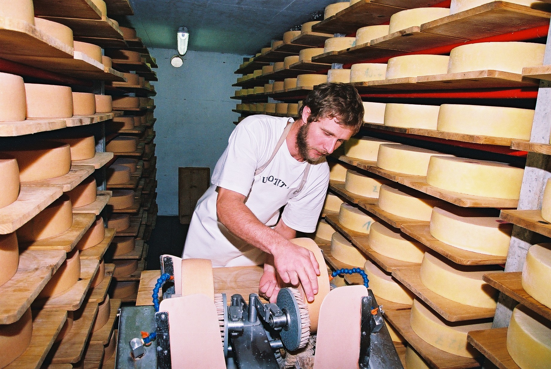 Person arbeitet in einem Käsekeller zwischen gelagerten Käselaiben.