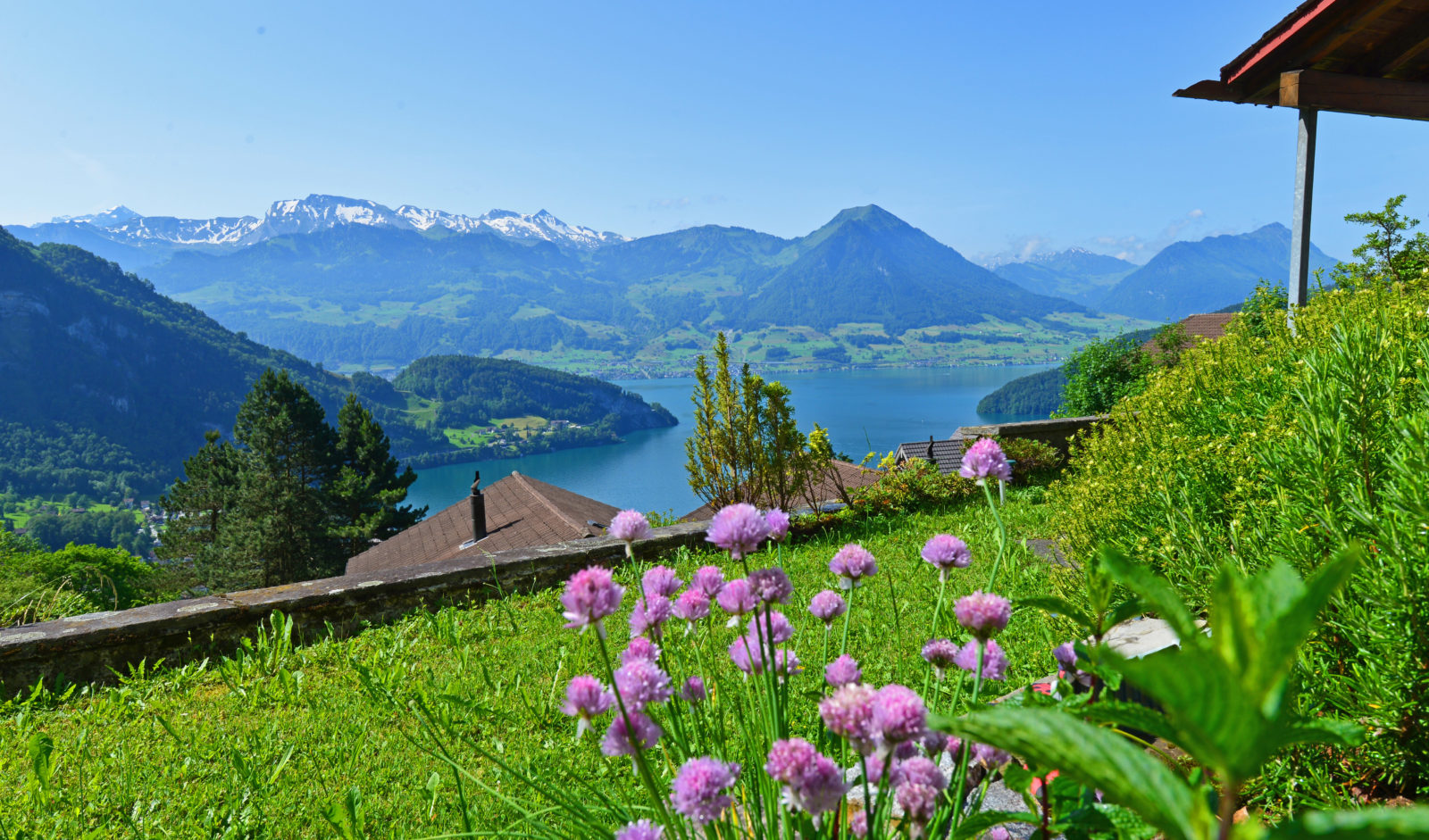 Haus Mittlerschwanden - Umgebung