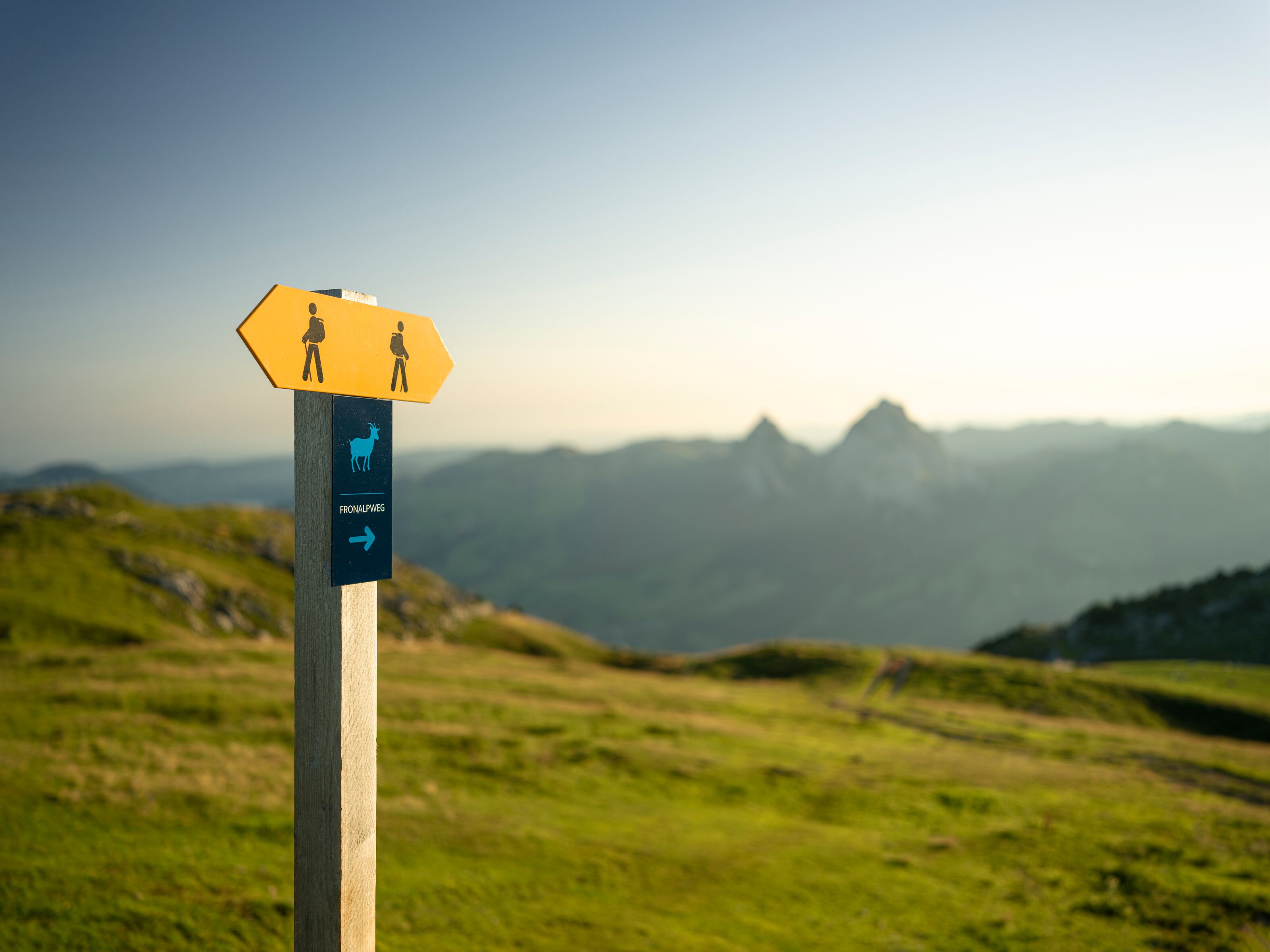 Signpost on a mountain meadow with views of the surrounding alpine landscape.