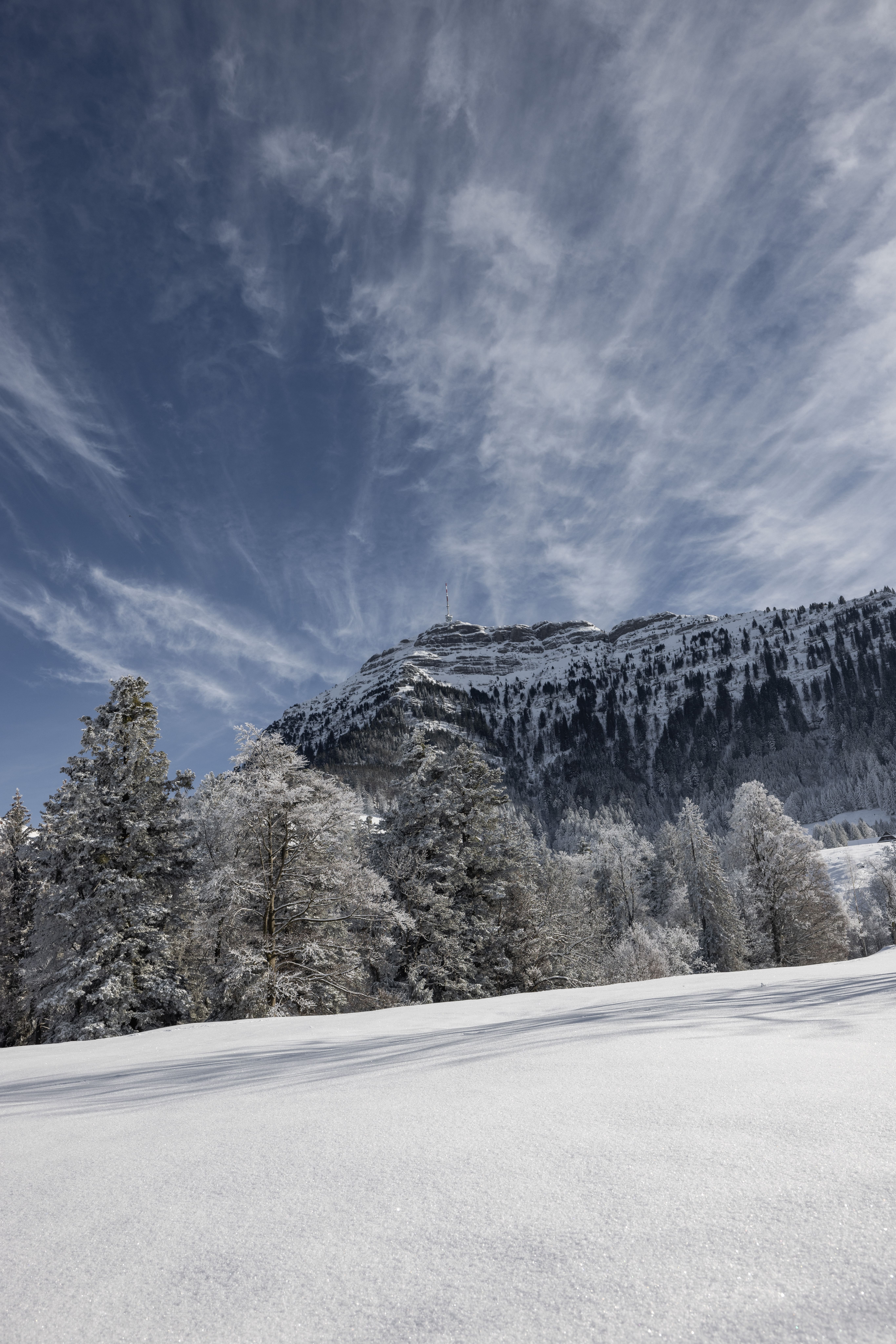 mys-SEEBODENALP & RIGI GIPFEL WANDERTICKET-Seebodenalp Winter Blick nach Rigi Kulm
