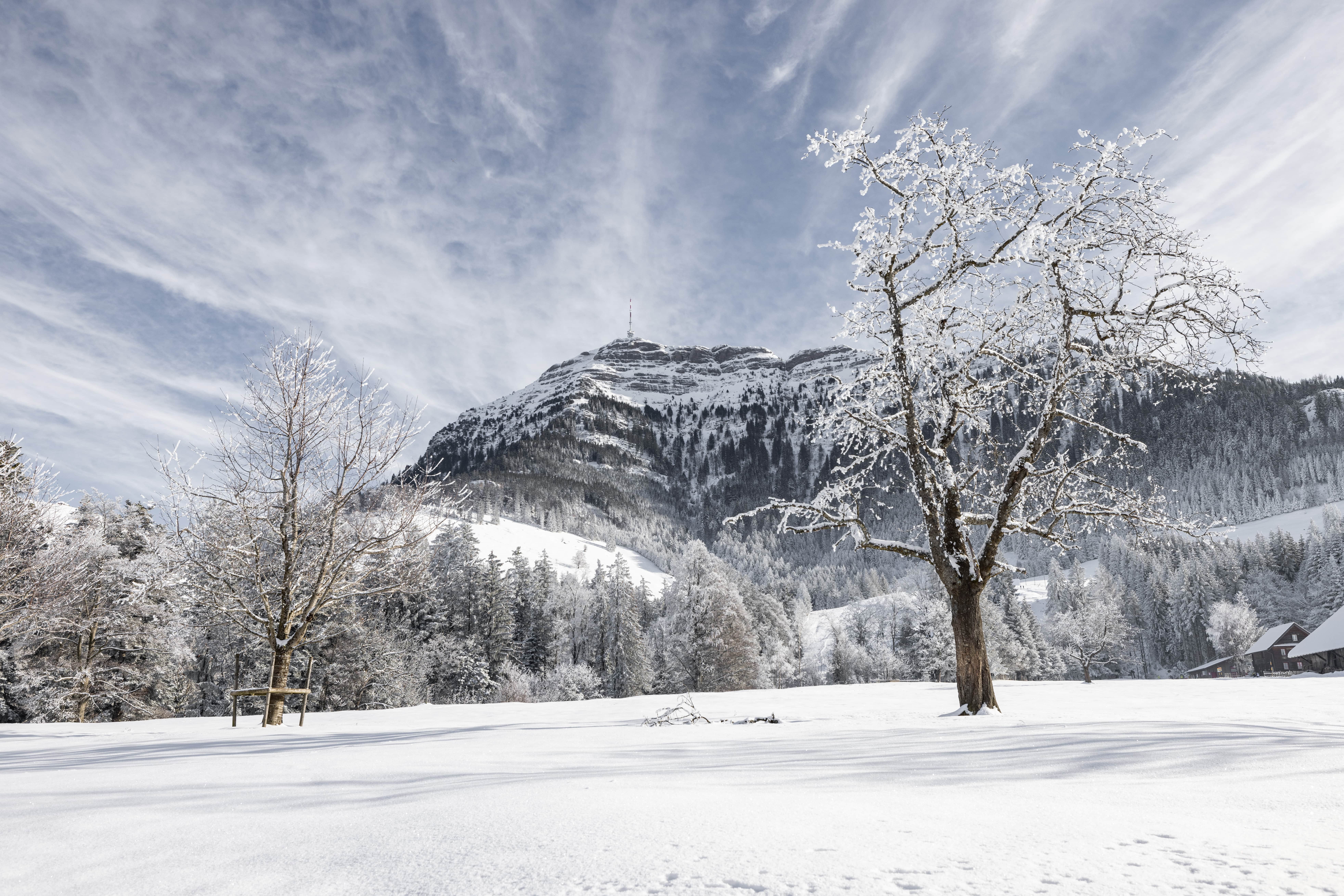 mys-DIE ABWECHSLUNGSREICHE-Blick von Seebodenalp auf Rigi Winter