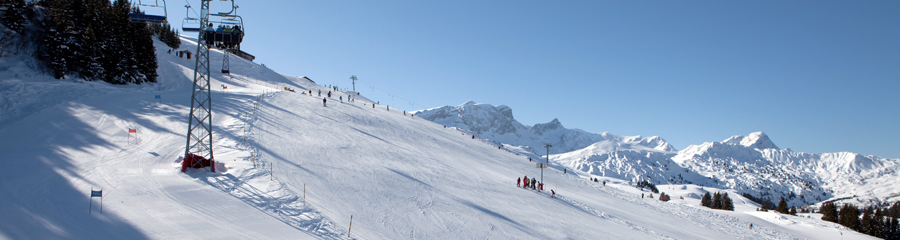 Lenk