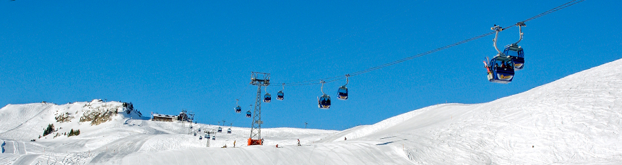 Lenk