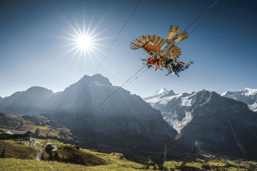 Grindelwald First Summer First Glider