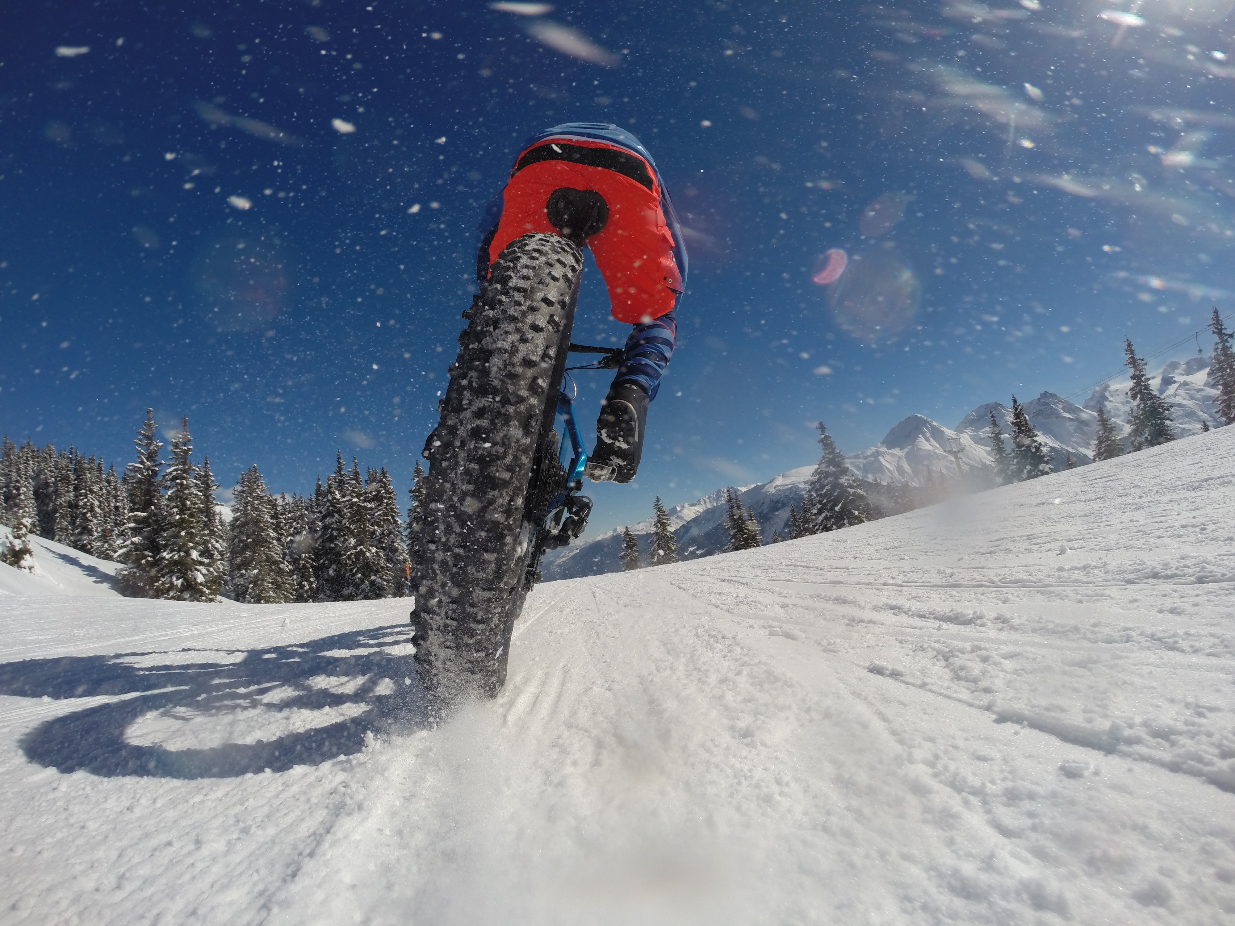 GUIDLE-IMAGE-731322090-04aca925873482c68352b0323f82de878004181c