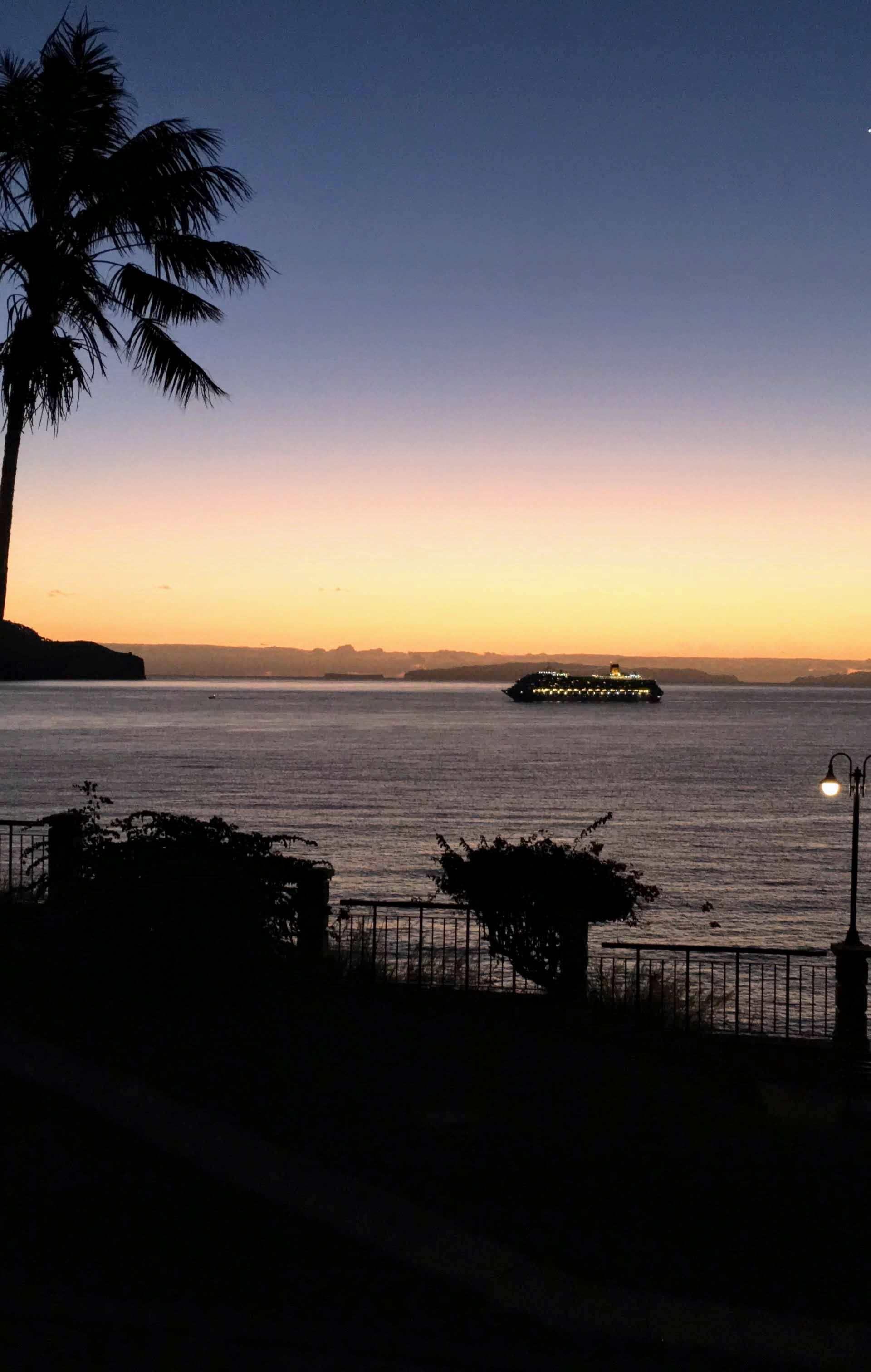 Cruise ships