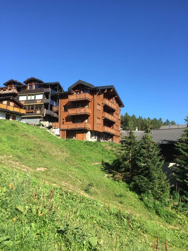 Guxa Dachwohnung - Westansicht Sommer