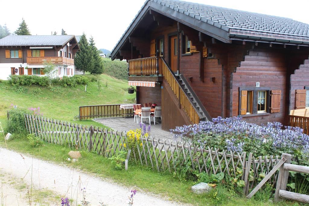 Alpengruss 1. Stock - IMG_1027