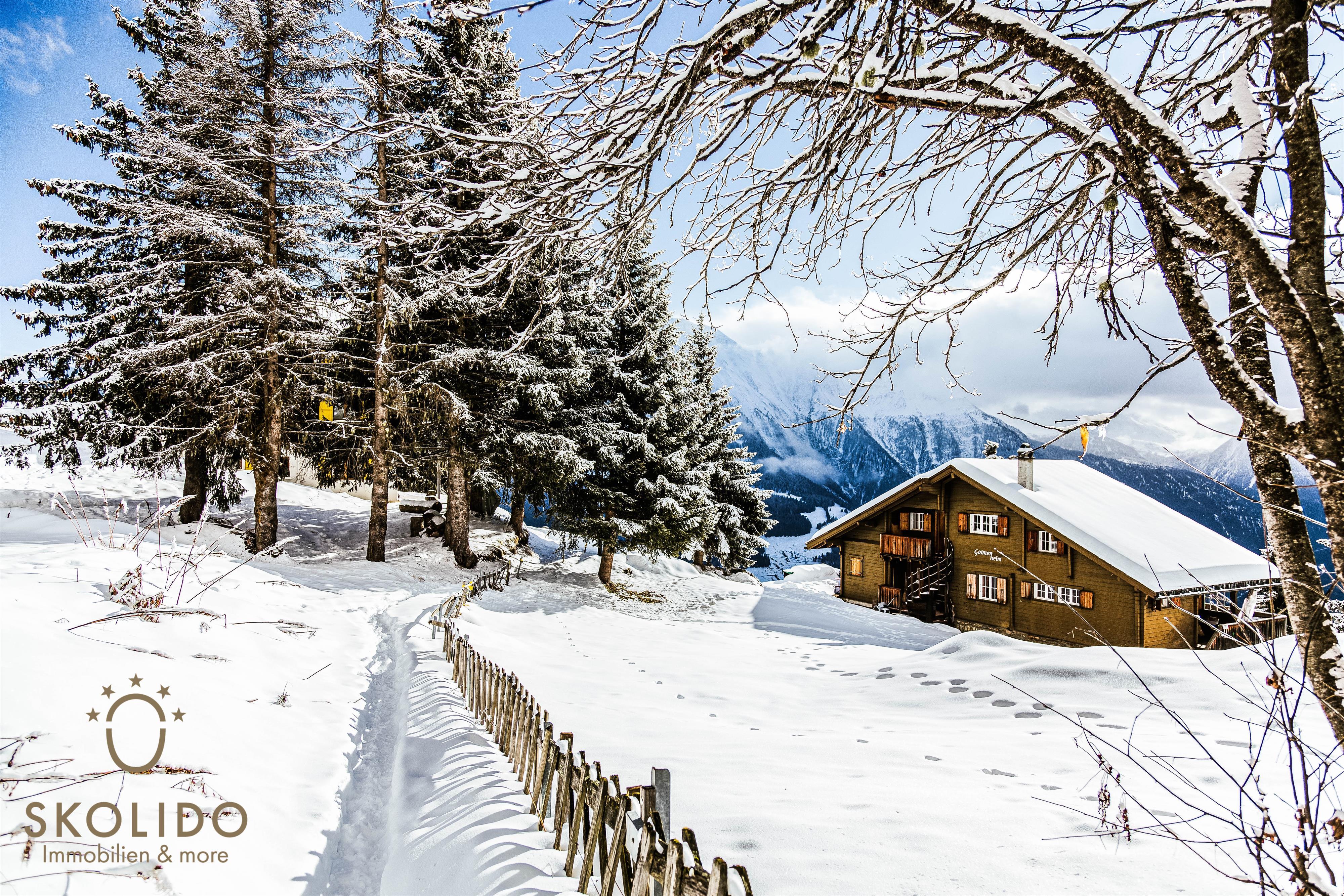 Golmenheim Skolido - SZ4A9879