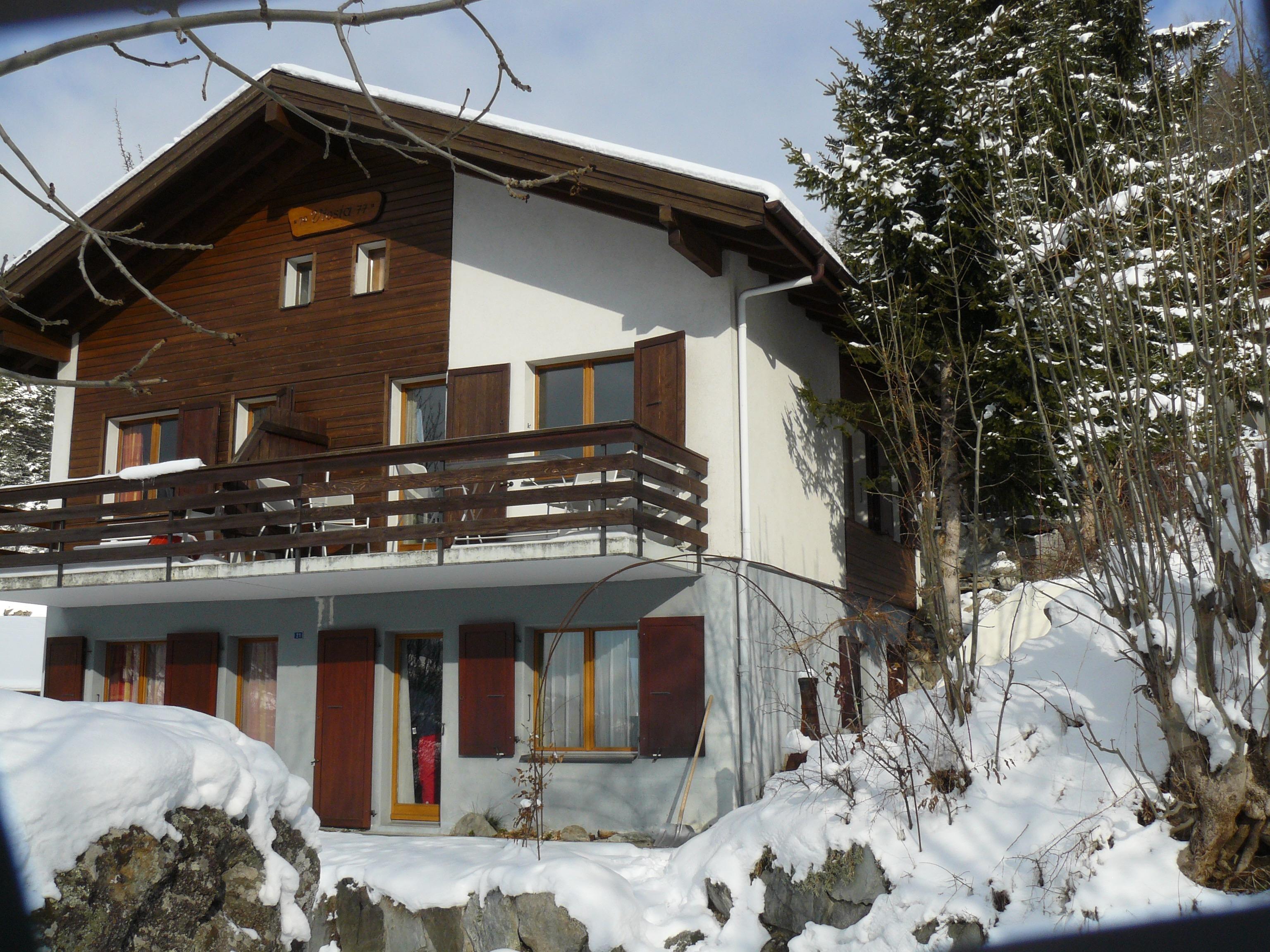 Viosia-Ost - viosia winter