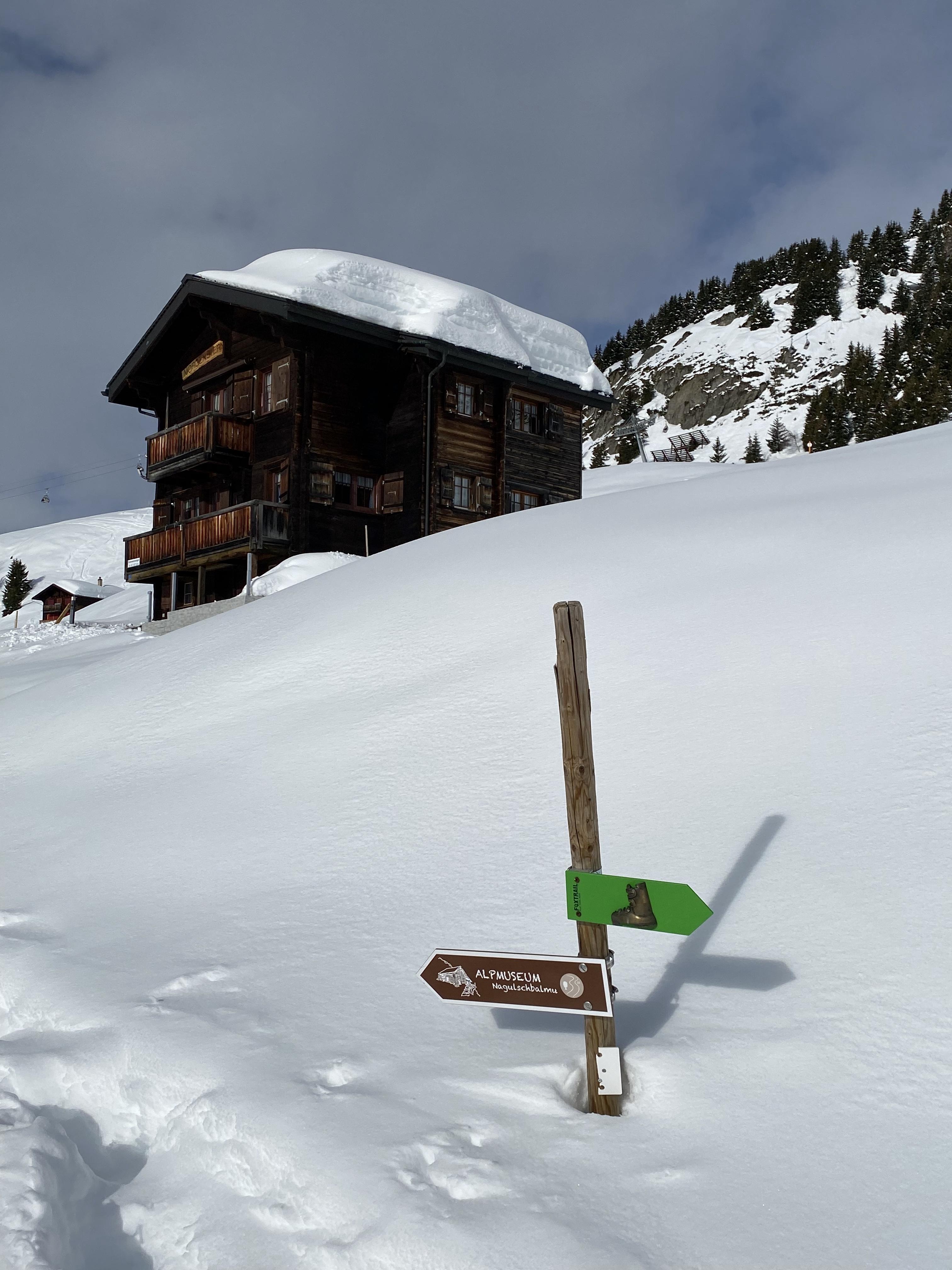 Morgenstern 2. OG Süd-West