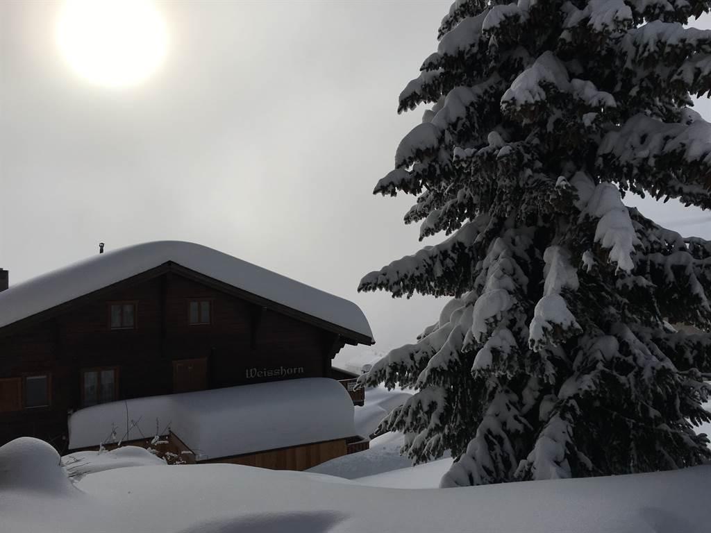 Weisshorn 4 2. OG West - Sonnenblick Weisshorn