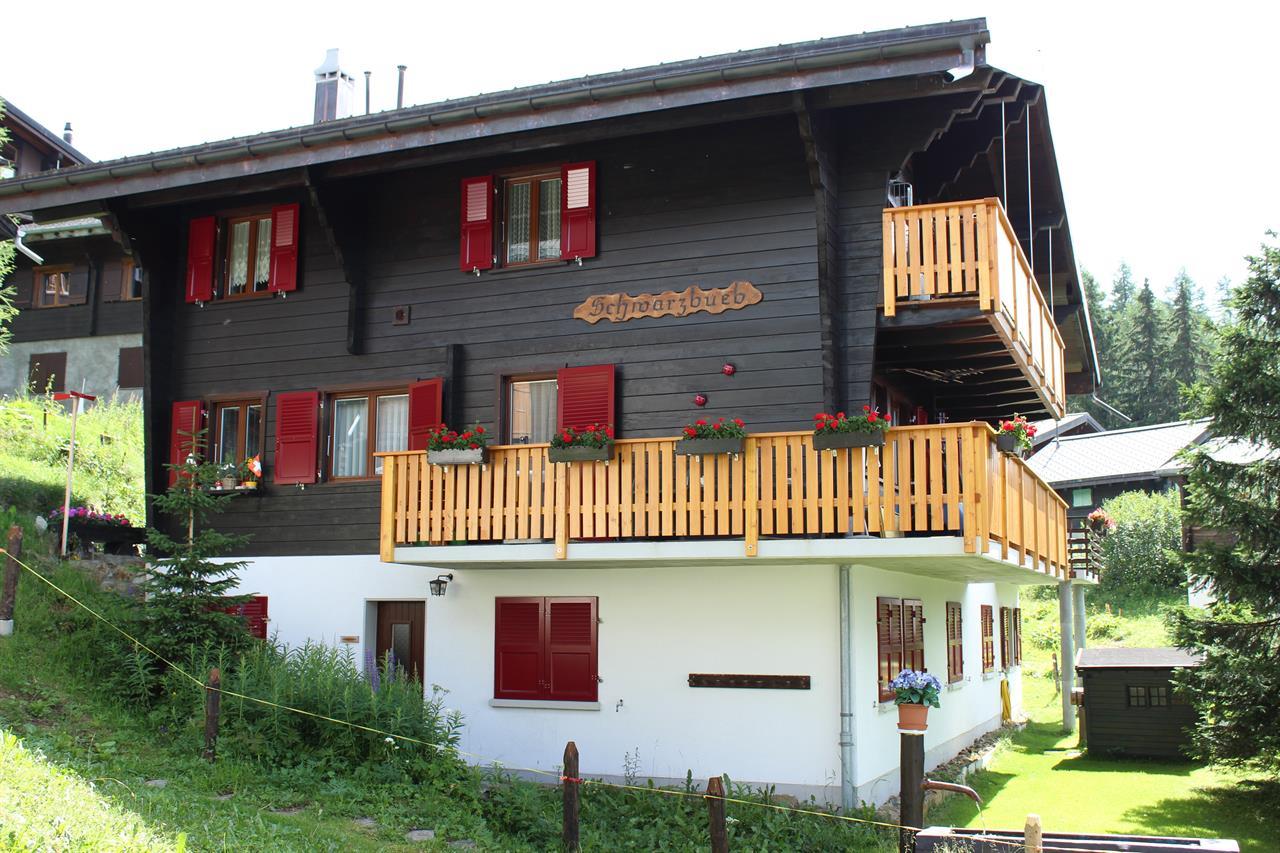 Schwarzbueb 2. OG - aussensommer