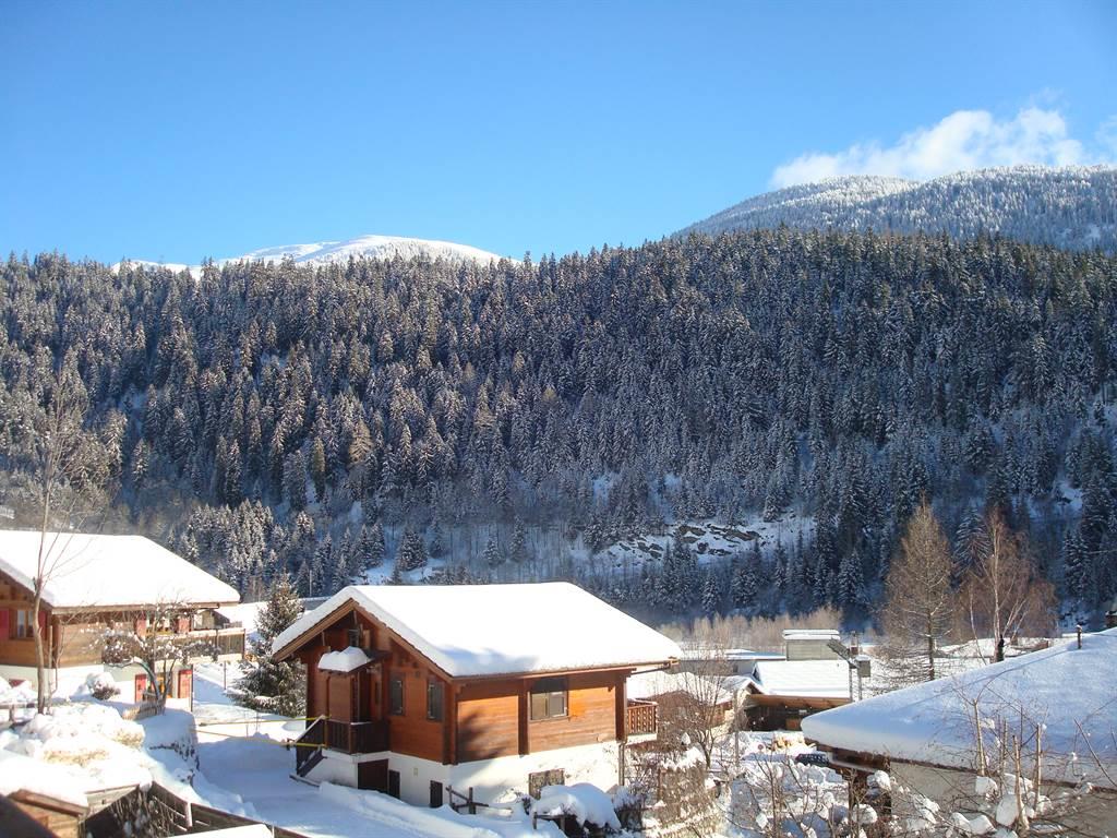 Eggerhorn OG - Sicht gegen Osten Winter
