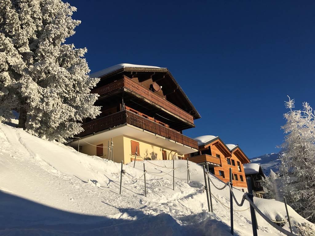 Aldi - Südansicht Chalet Aldi