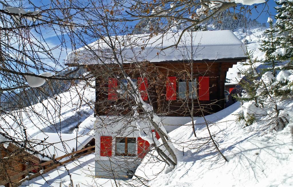 Piccolo 1 Parterre - Chalet Piccolo im Schnee