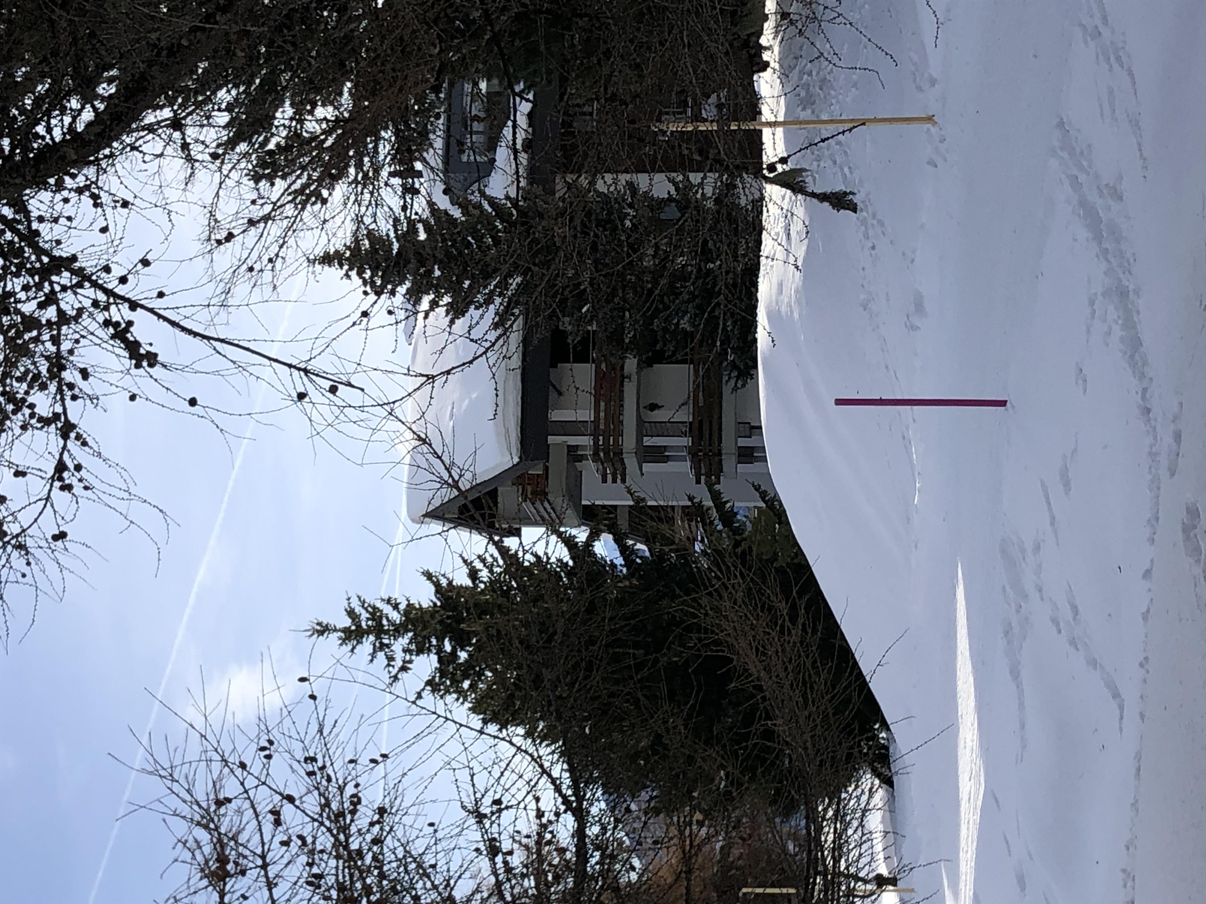 Riederhof B 461 - IMG_4395