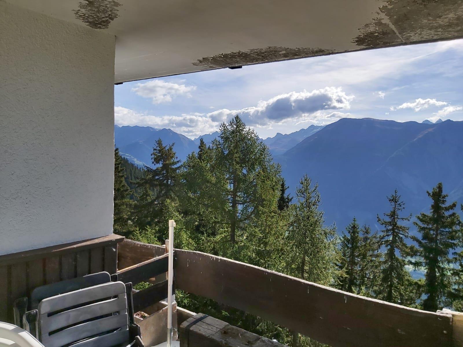 Akelei - 3f78e89b-b883-4237-ba2c-e52f60a36c3a