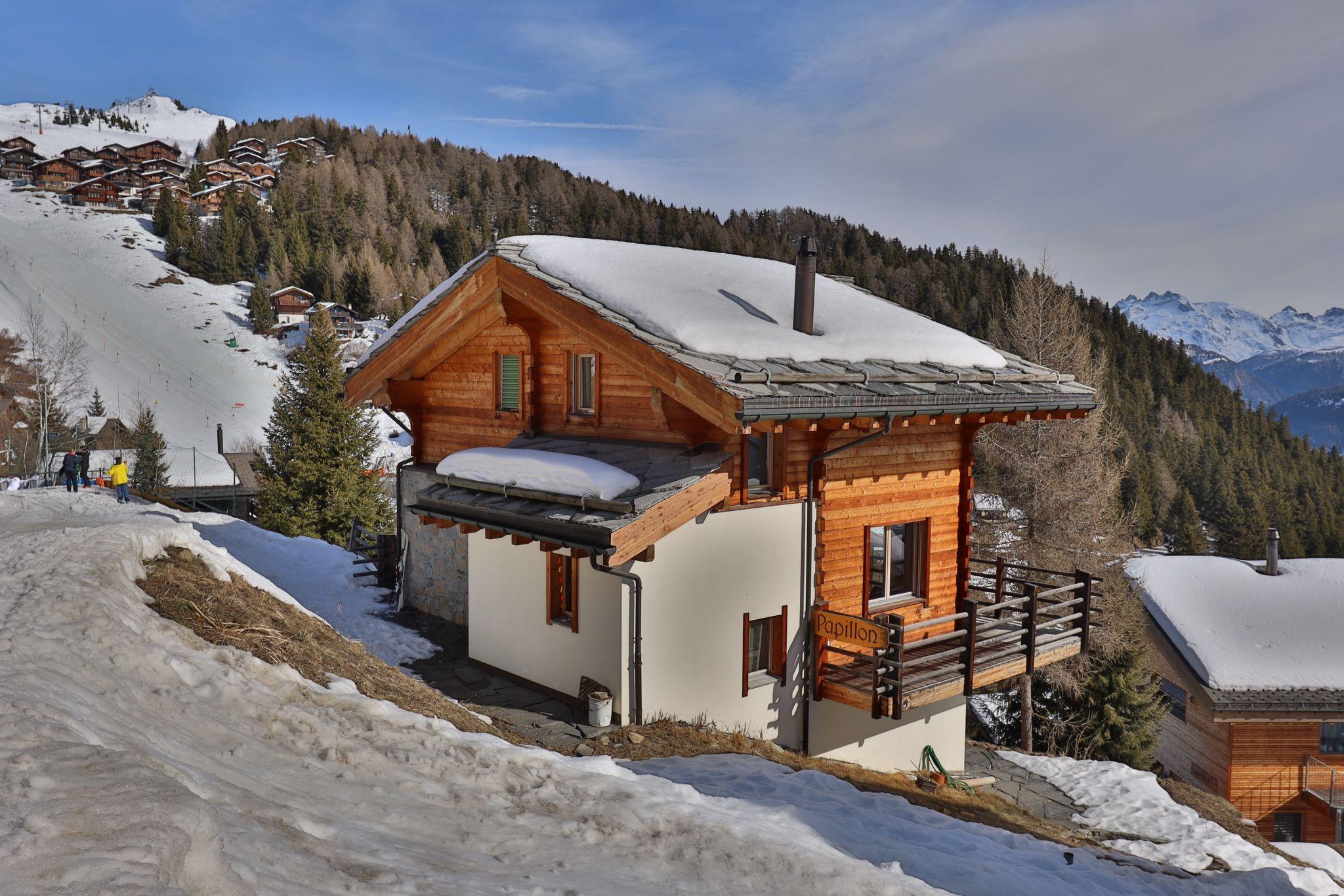 Papillon - Papillon-1A