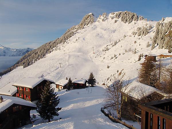 Pelikan 1. Stock - Skigebiet vor dem Haus