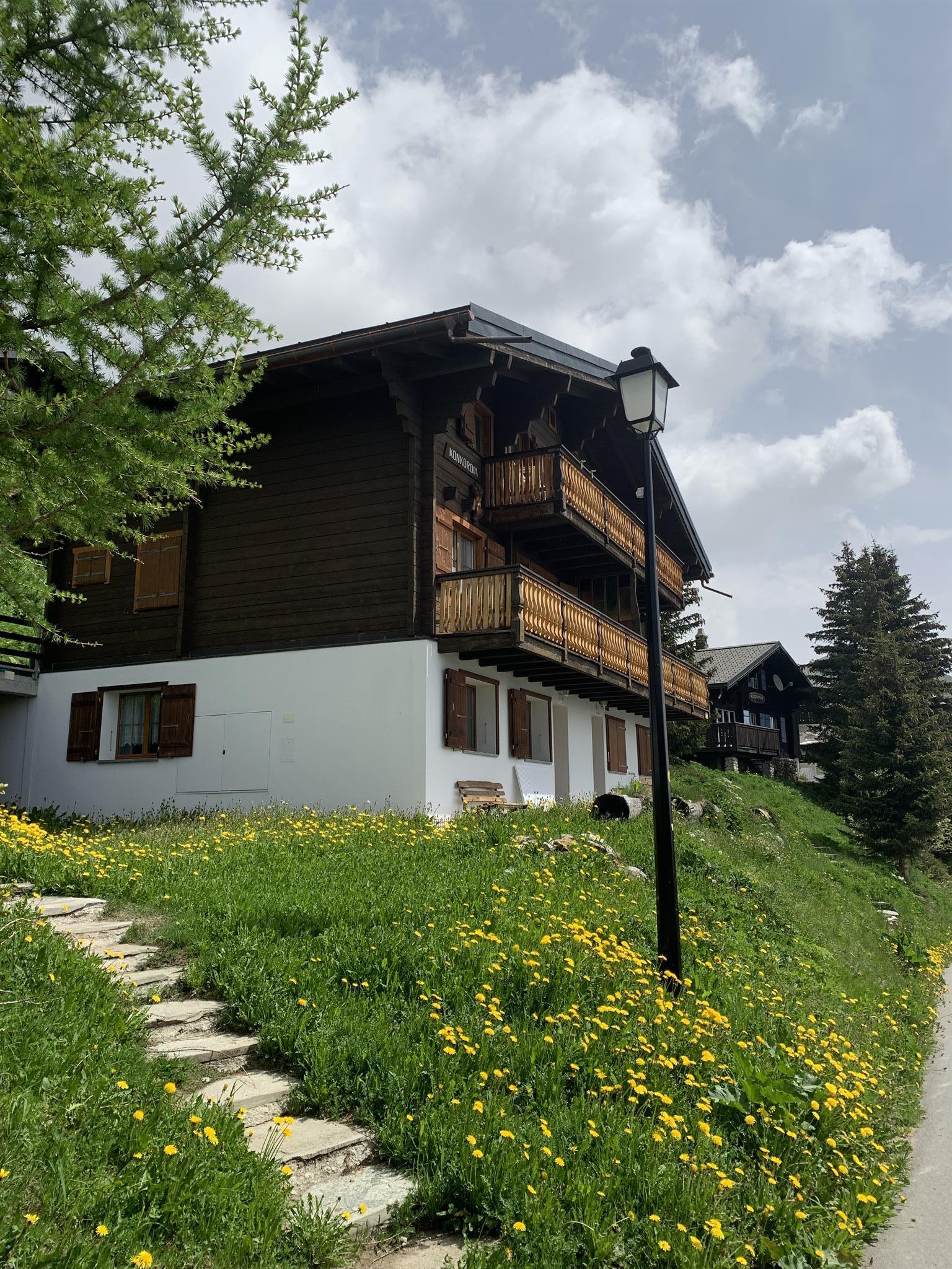Konkordia 1 EG Süd - Chalet Konkordia