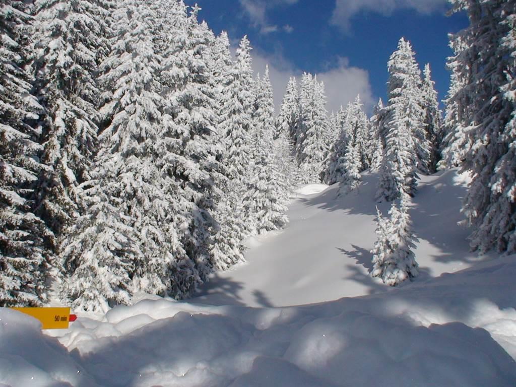 Les Graces 1. Stock - Zwischenalpe