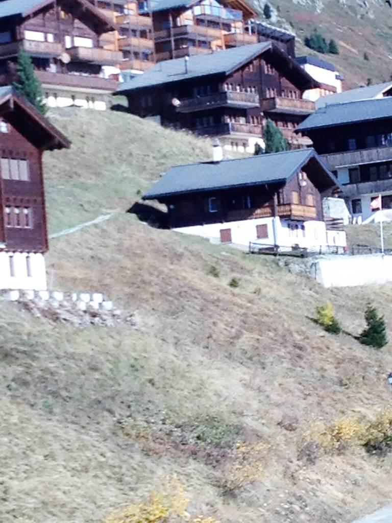 Vergissmeinnicht 1. Stock - IMG_2507