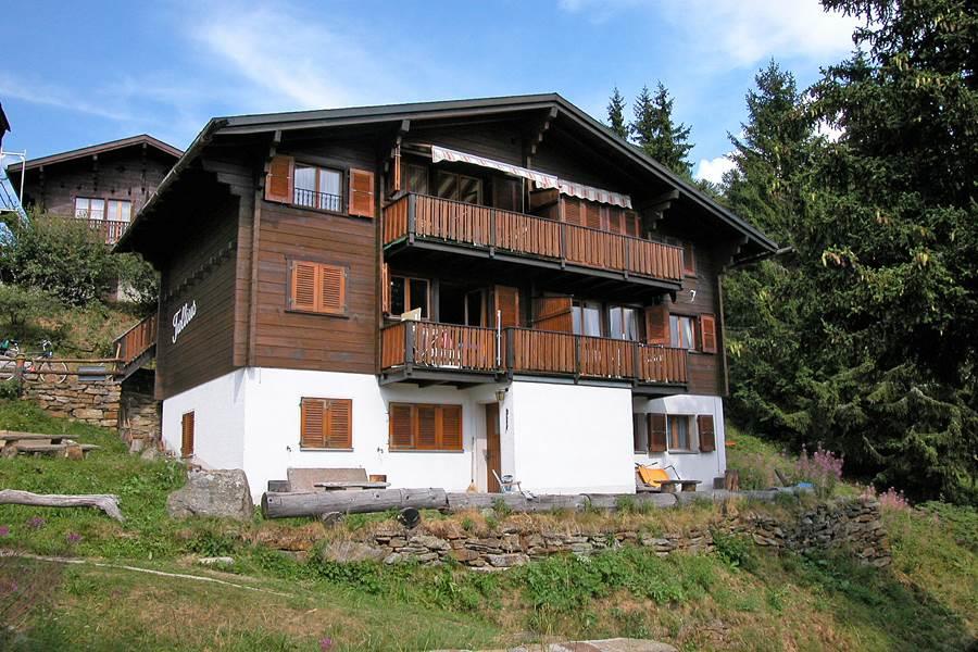 Trollius 1. Stock Ost - Chalet Trollius