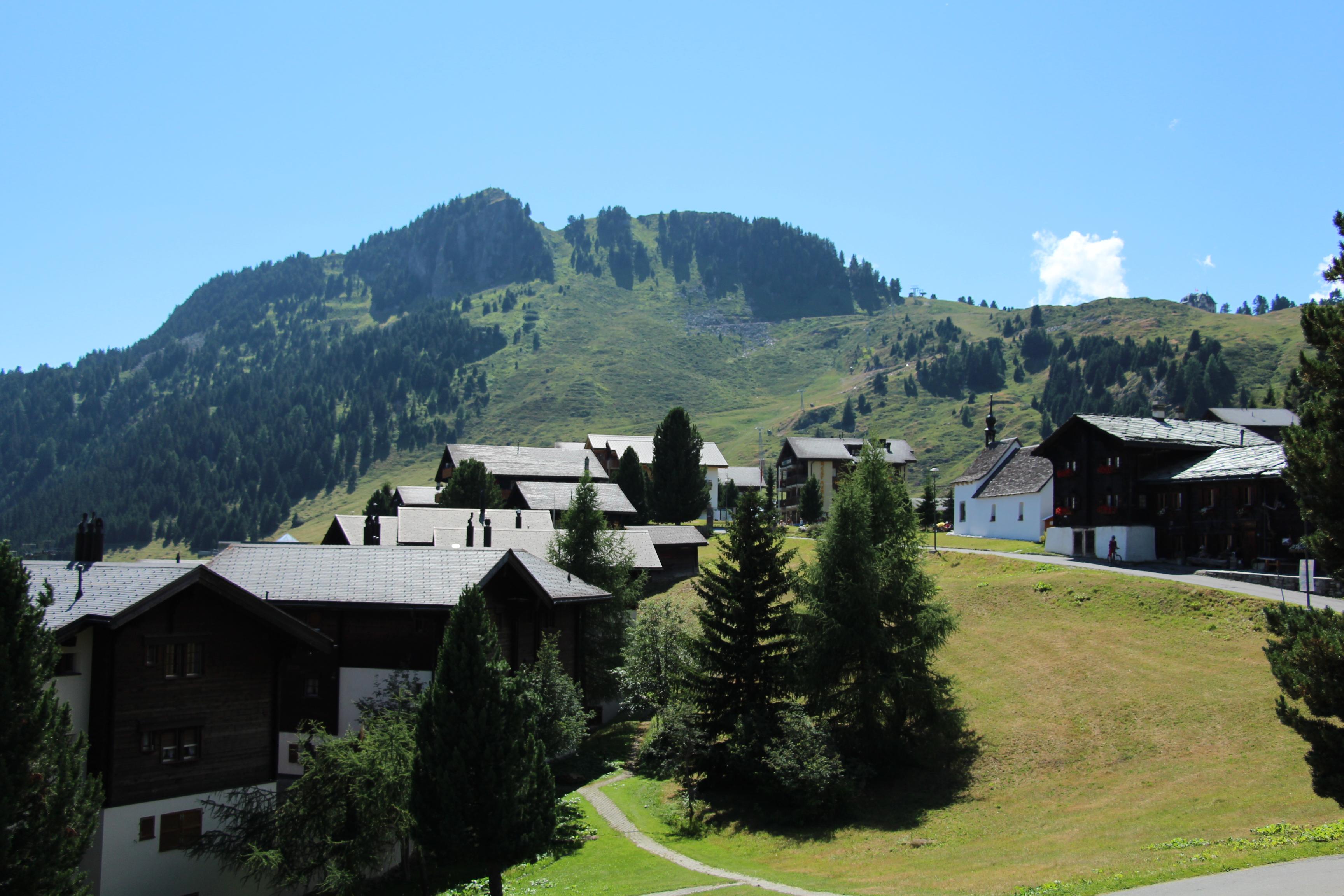 Riederhof Wohnung A230 - Aussicht vom Balkon im Sommer