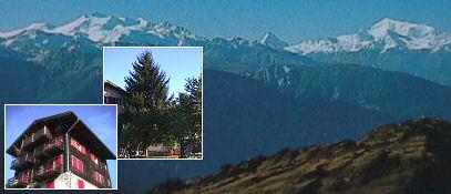 Alphubel 1.OG Ost - Collage Sommer