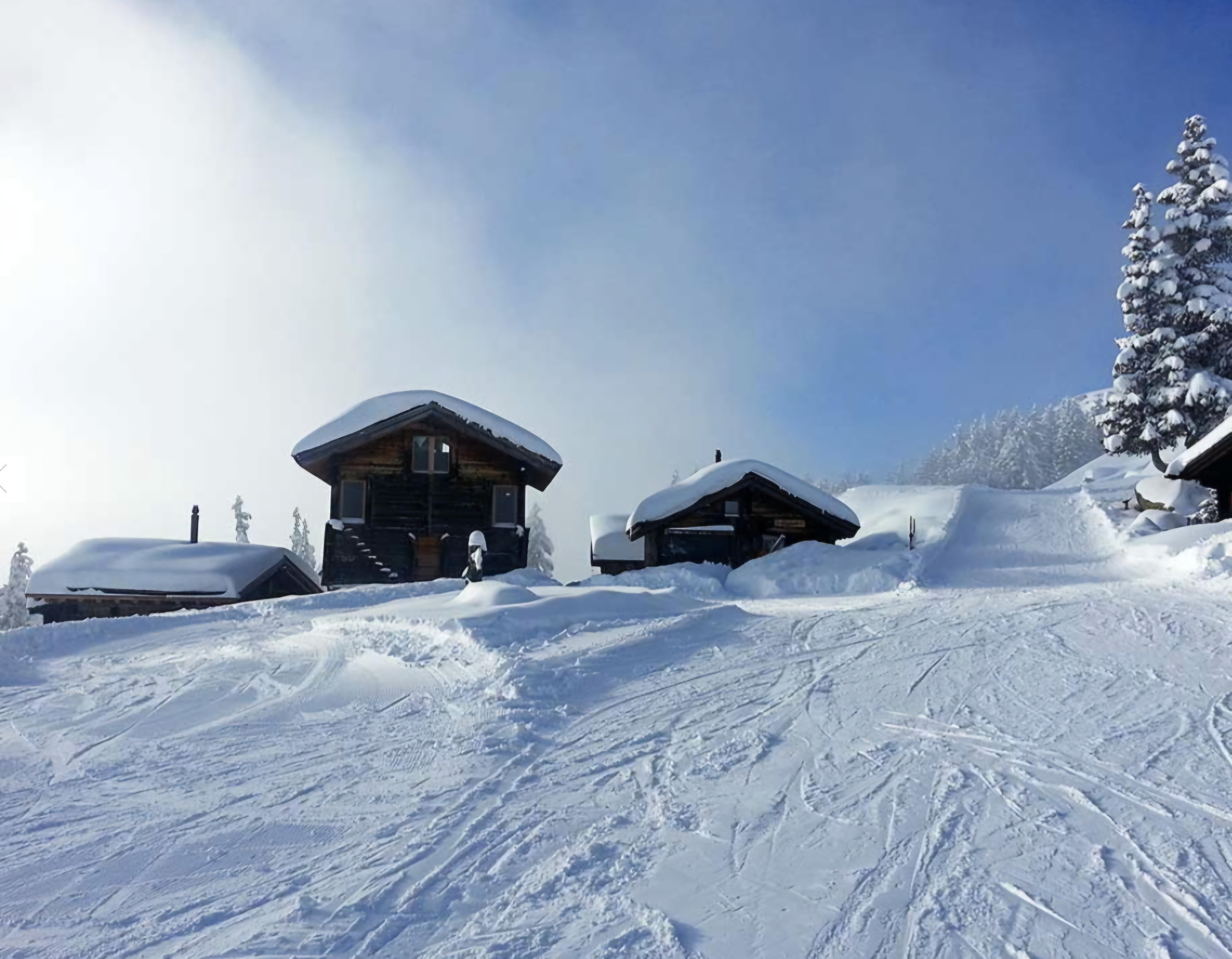 Stafel - Screenshot_20251114_073235_Samsung Internet