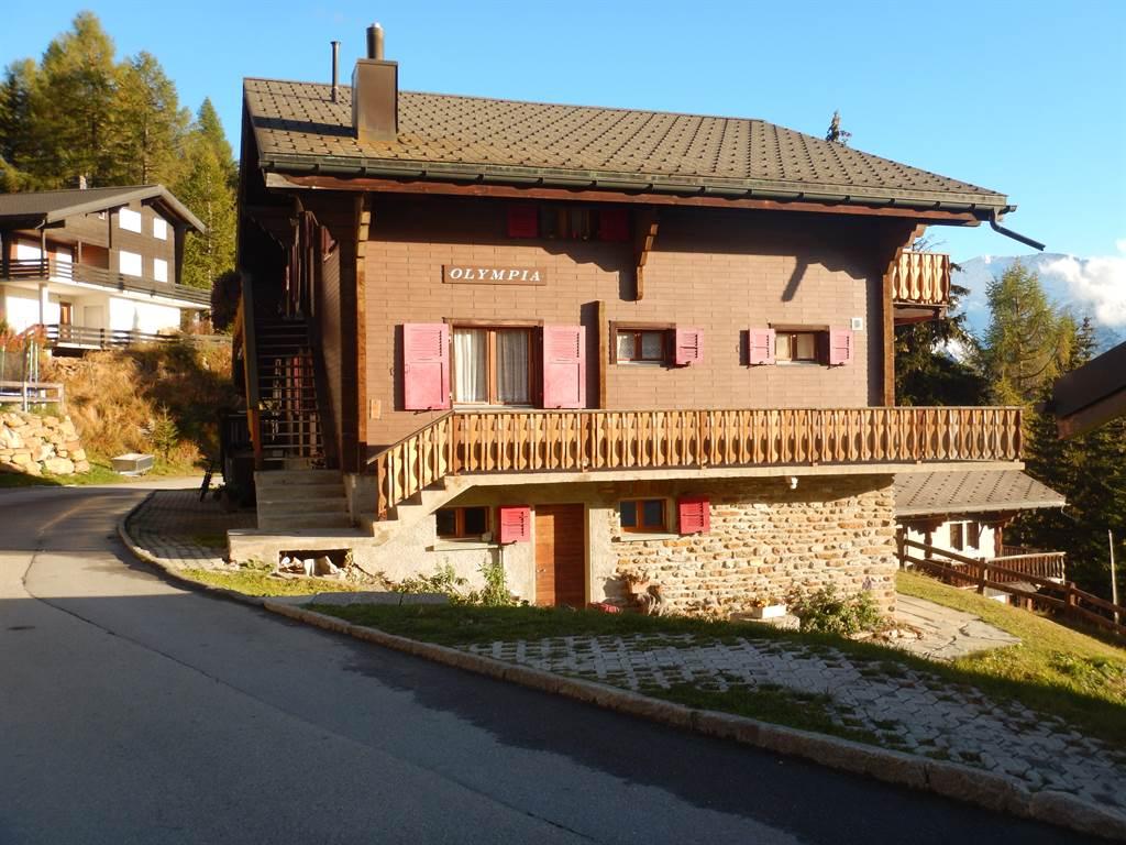 Olympia 2 Zimmerwohnung - Chalet Olympia im Sommer