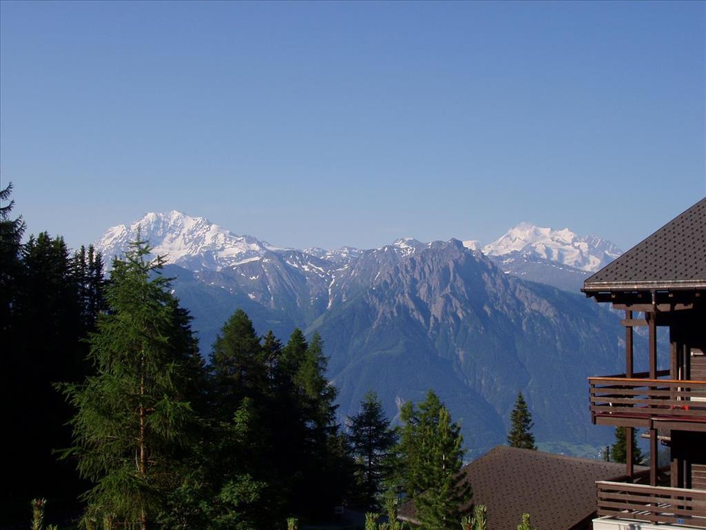 Primeli Parterre West - Aussicht Fletschhorn, Mischabel
