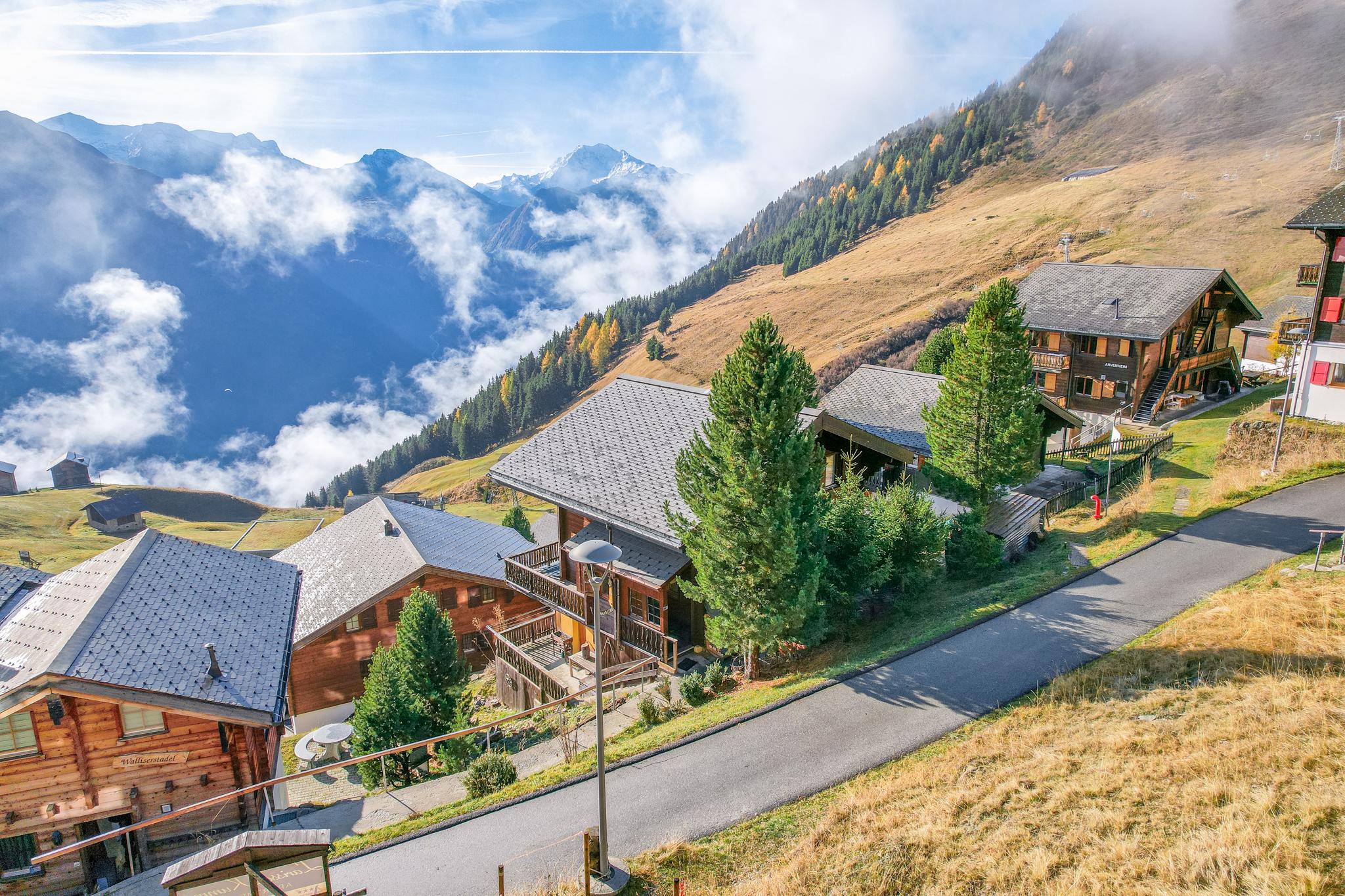 Nachtigall OG Süd - DJI_0849