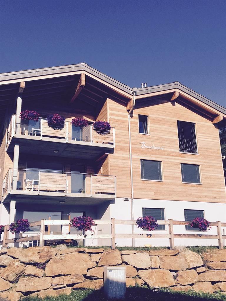 Baschweri EG - Sommer