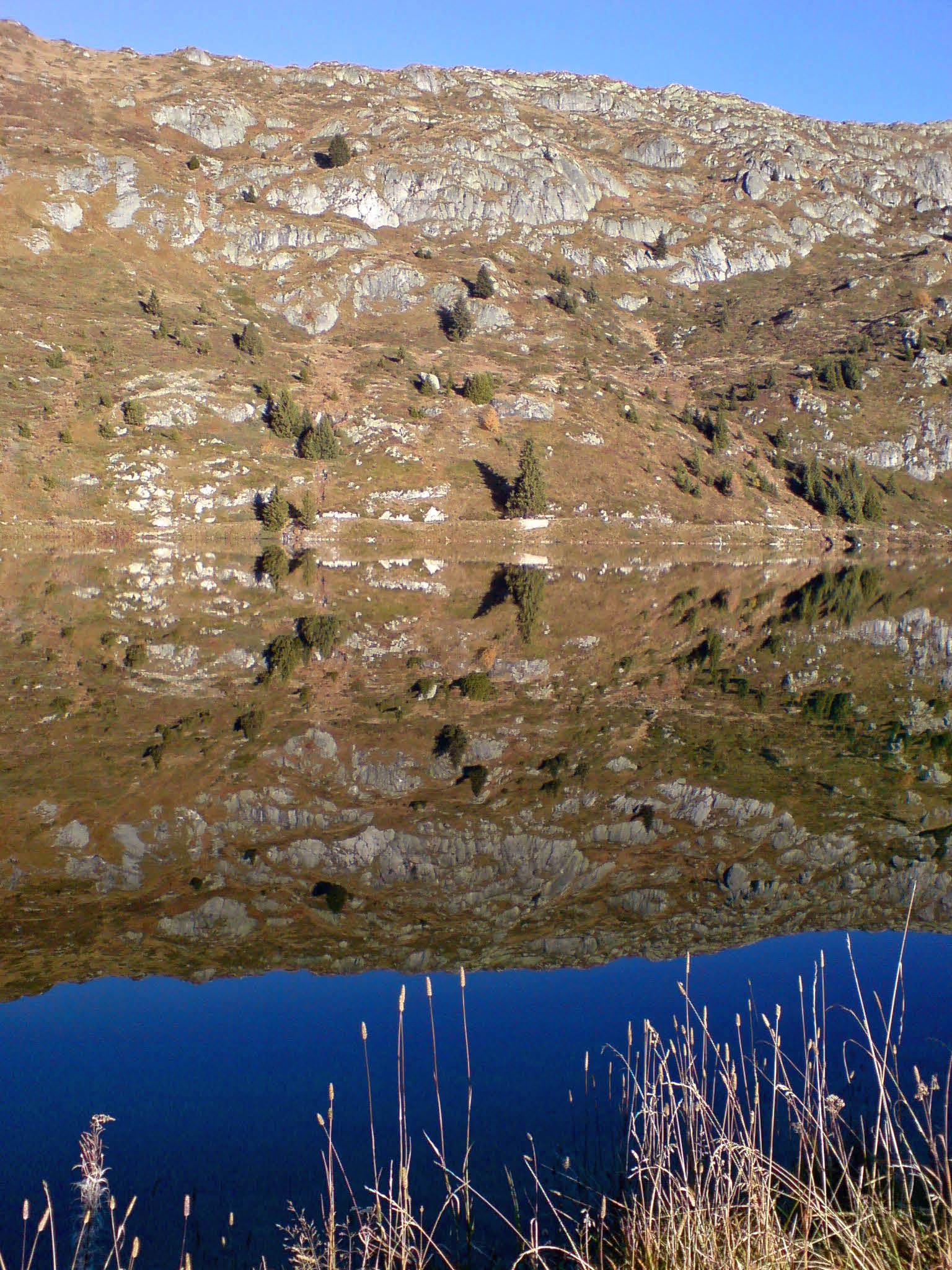 Crystal Parterre - Bettmersee