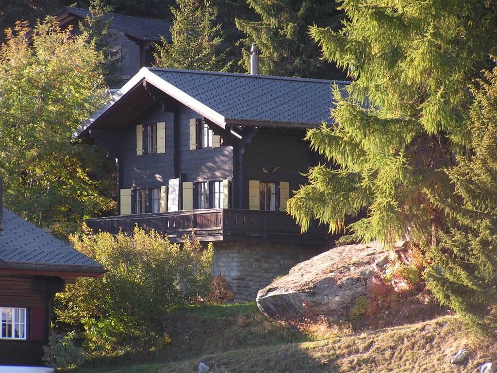 Choucas - Chalet choucas Ansicht Süd im Herbst